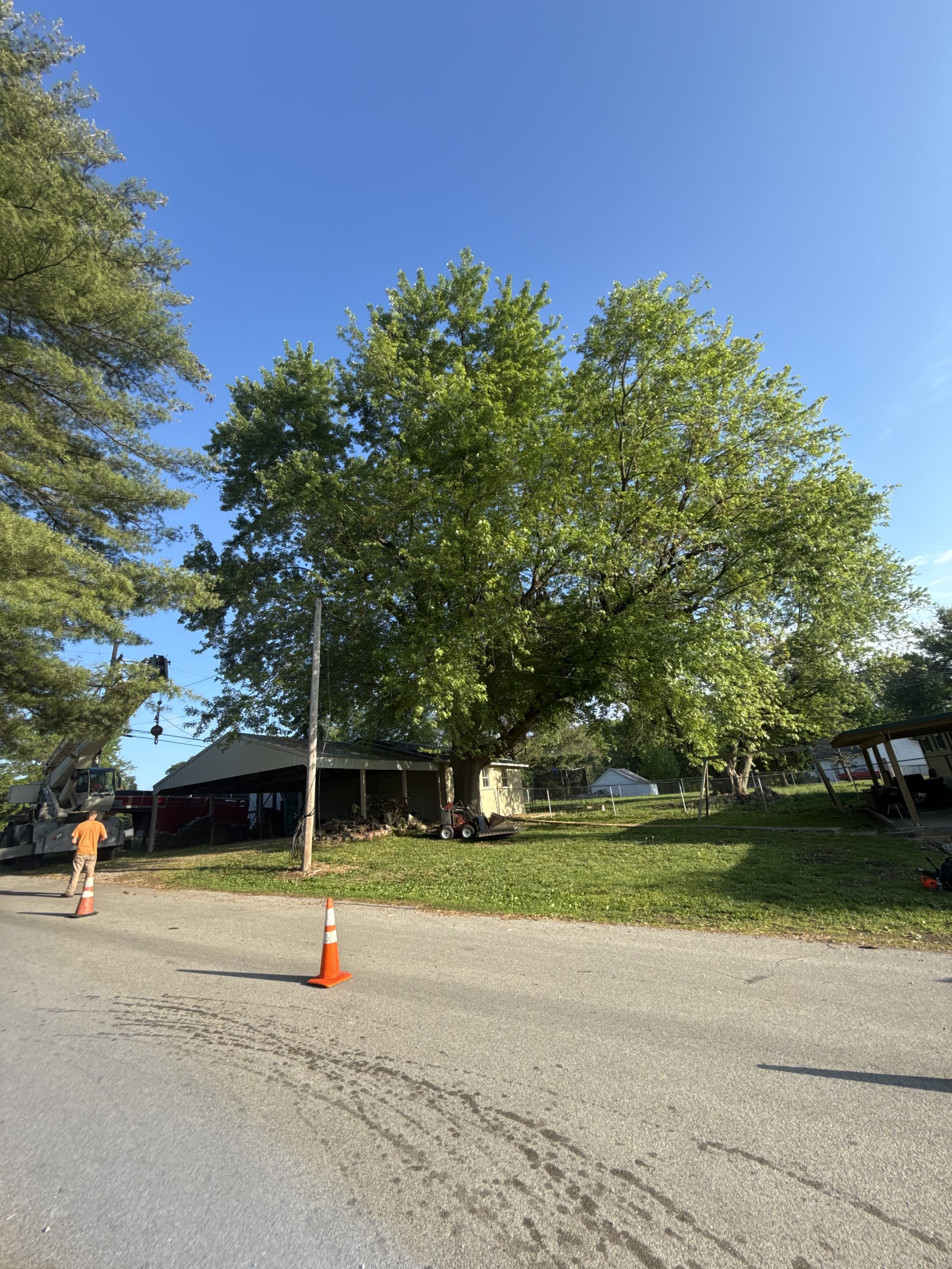  for Advanced Tree Solutions in Rockville, IN