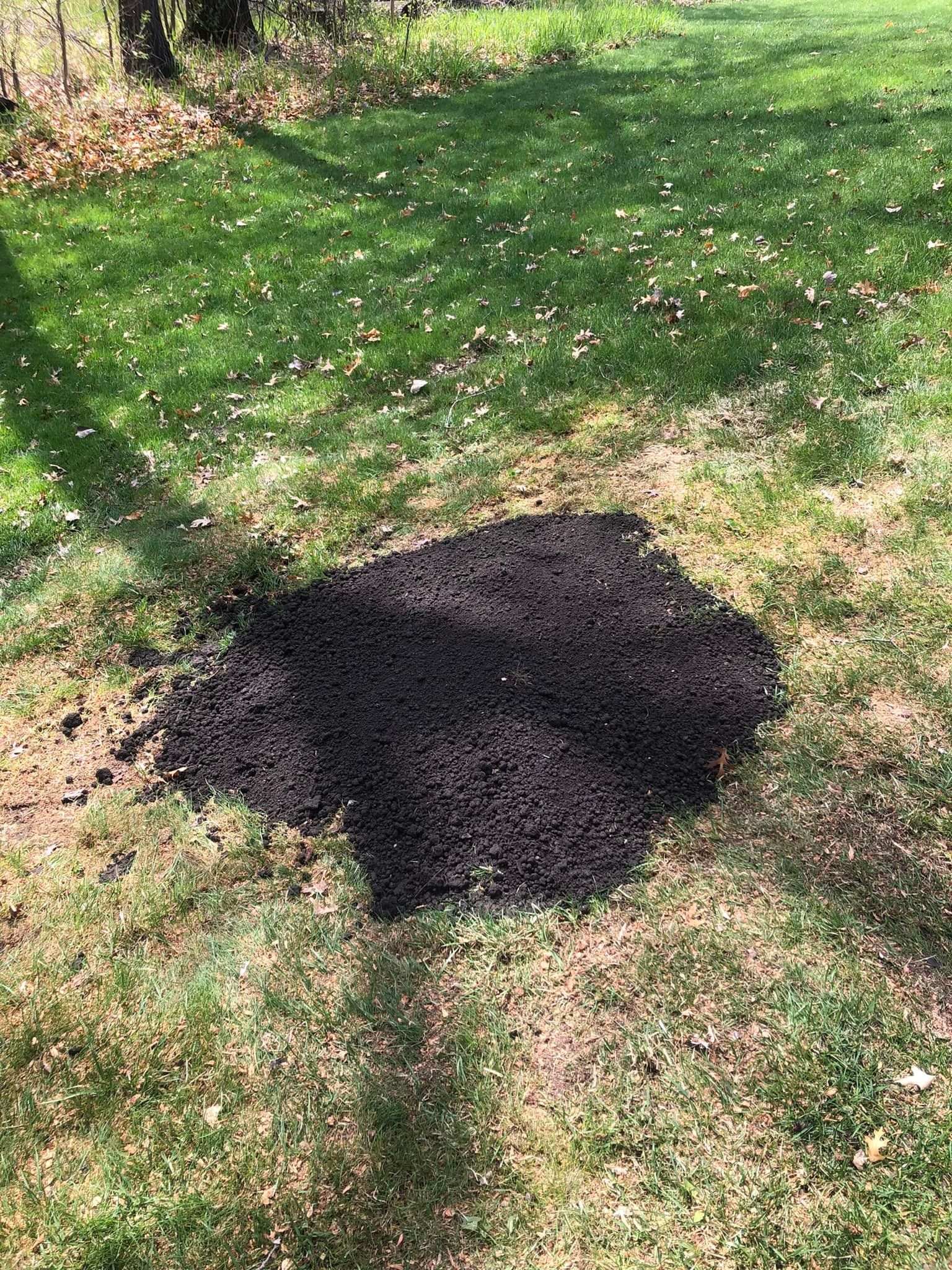 All Photos for Corbin’s Stump Grinding in Hugo, MN