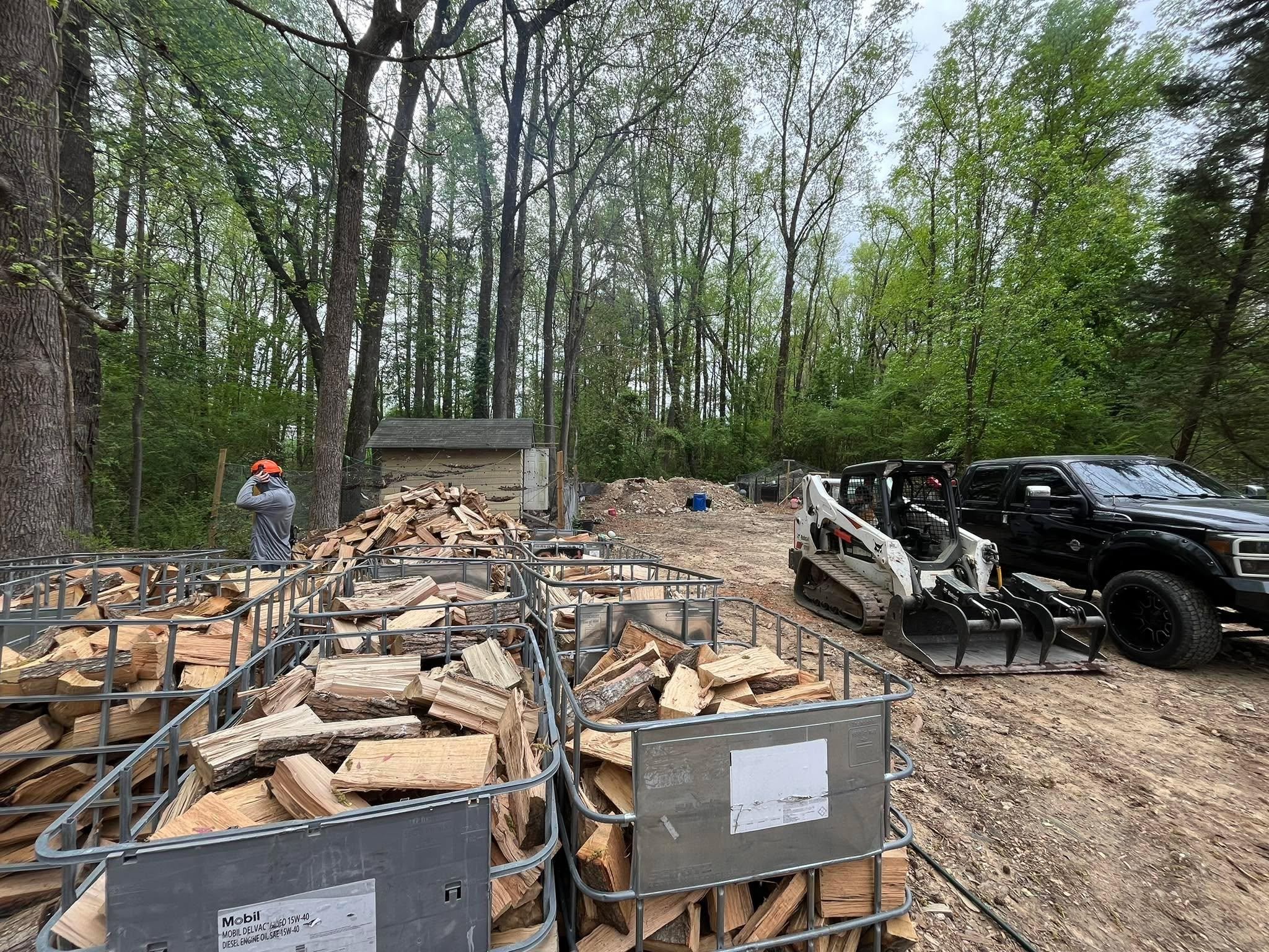  for AB Tree Service in Raleigh, NC
