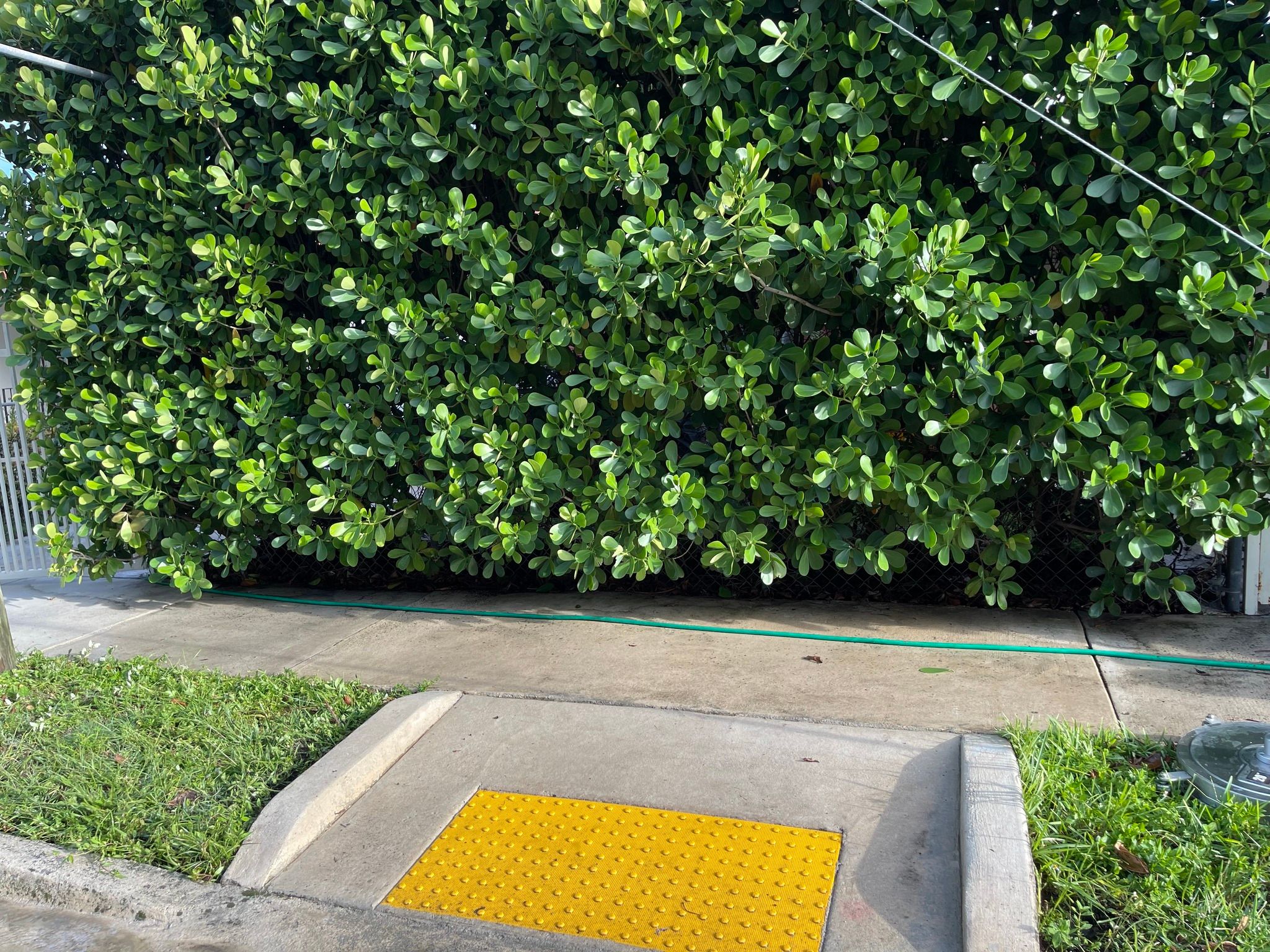All Photos for Fountain Blast Pressure Wash in , 