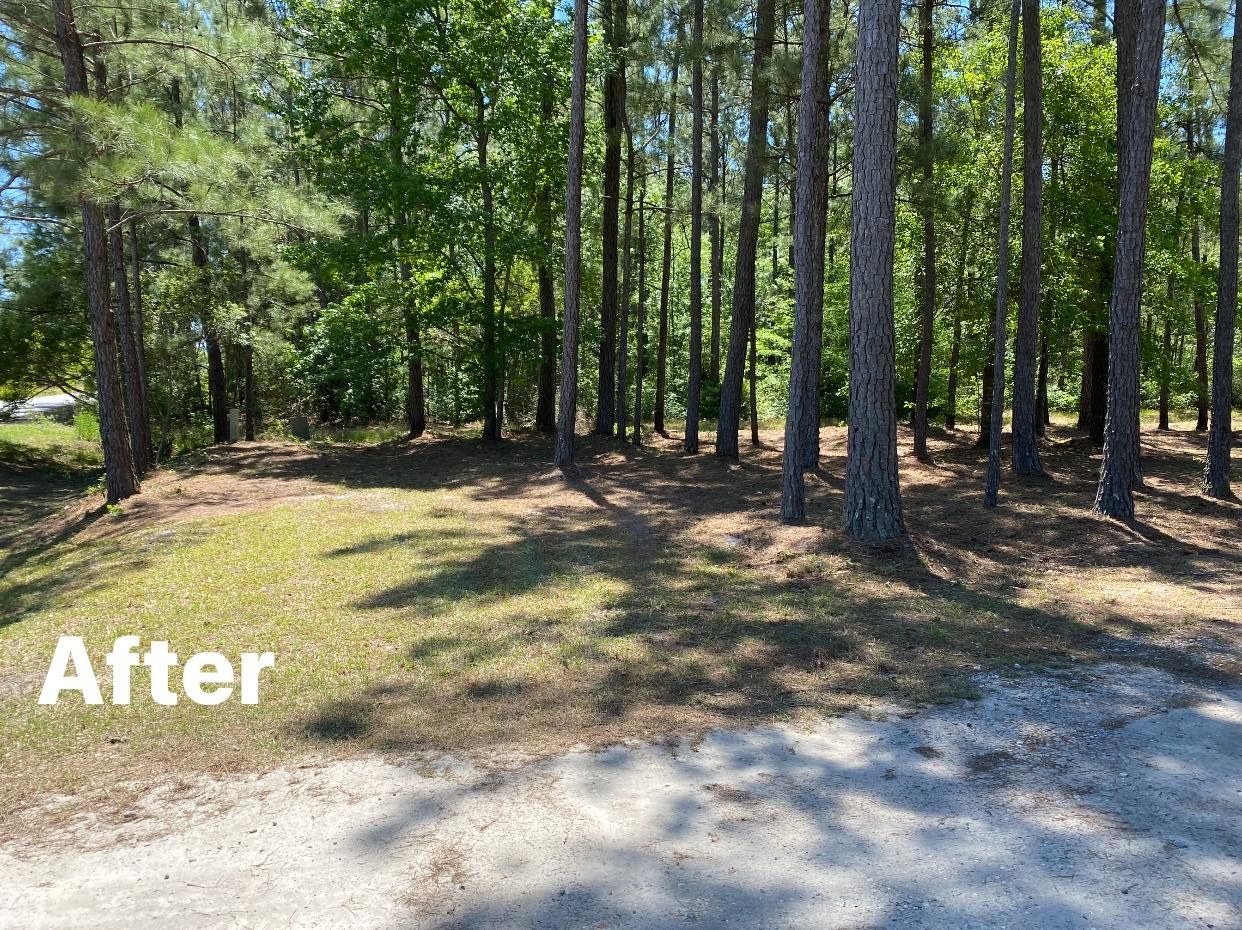  for T&S Land Management Services in Springfield, GA