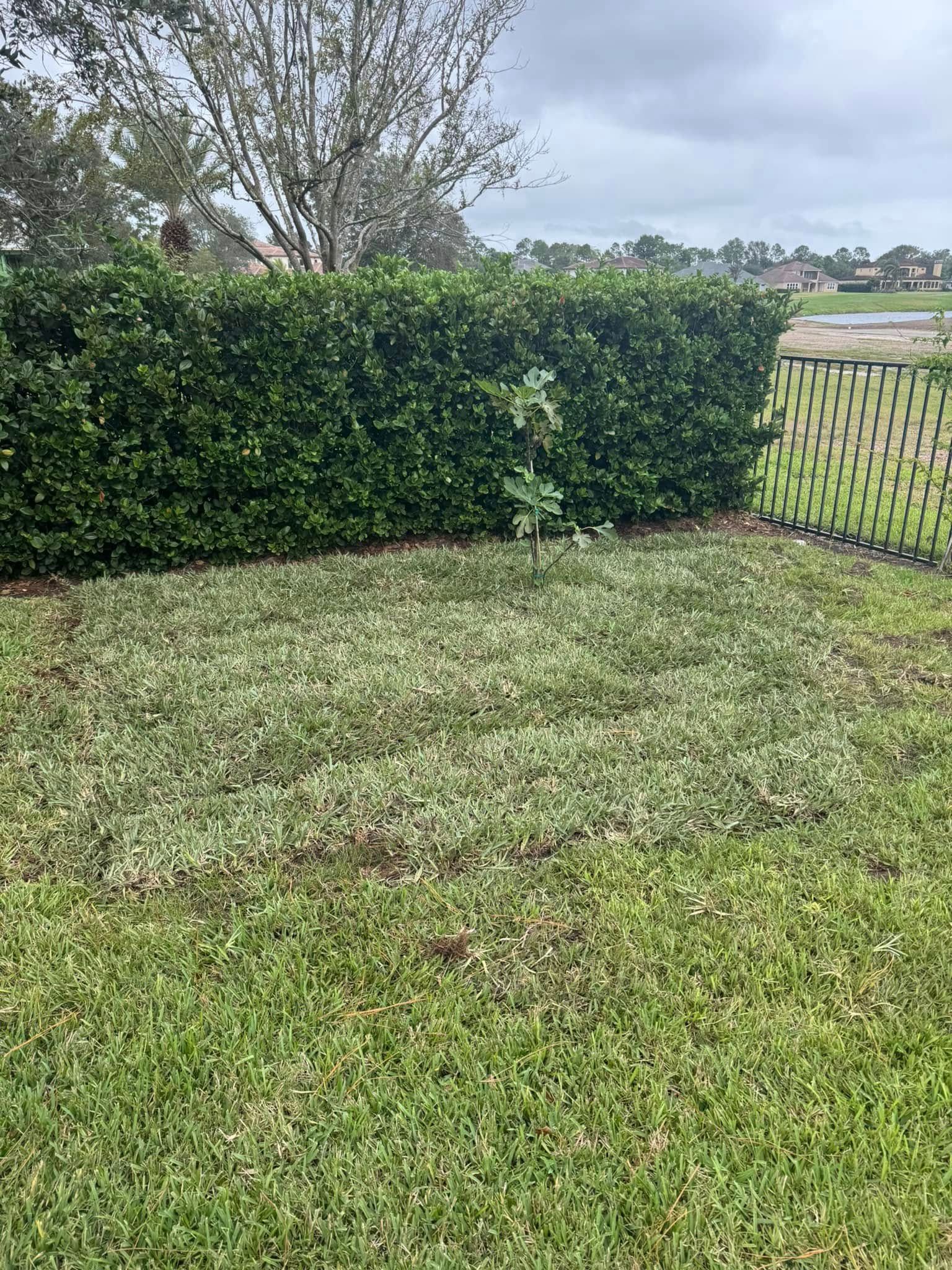  for Four Corners Sod in Saint Augustine, FL