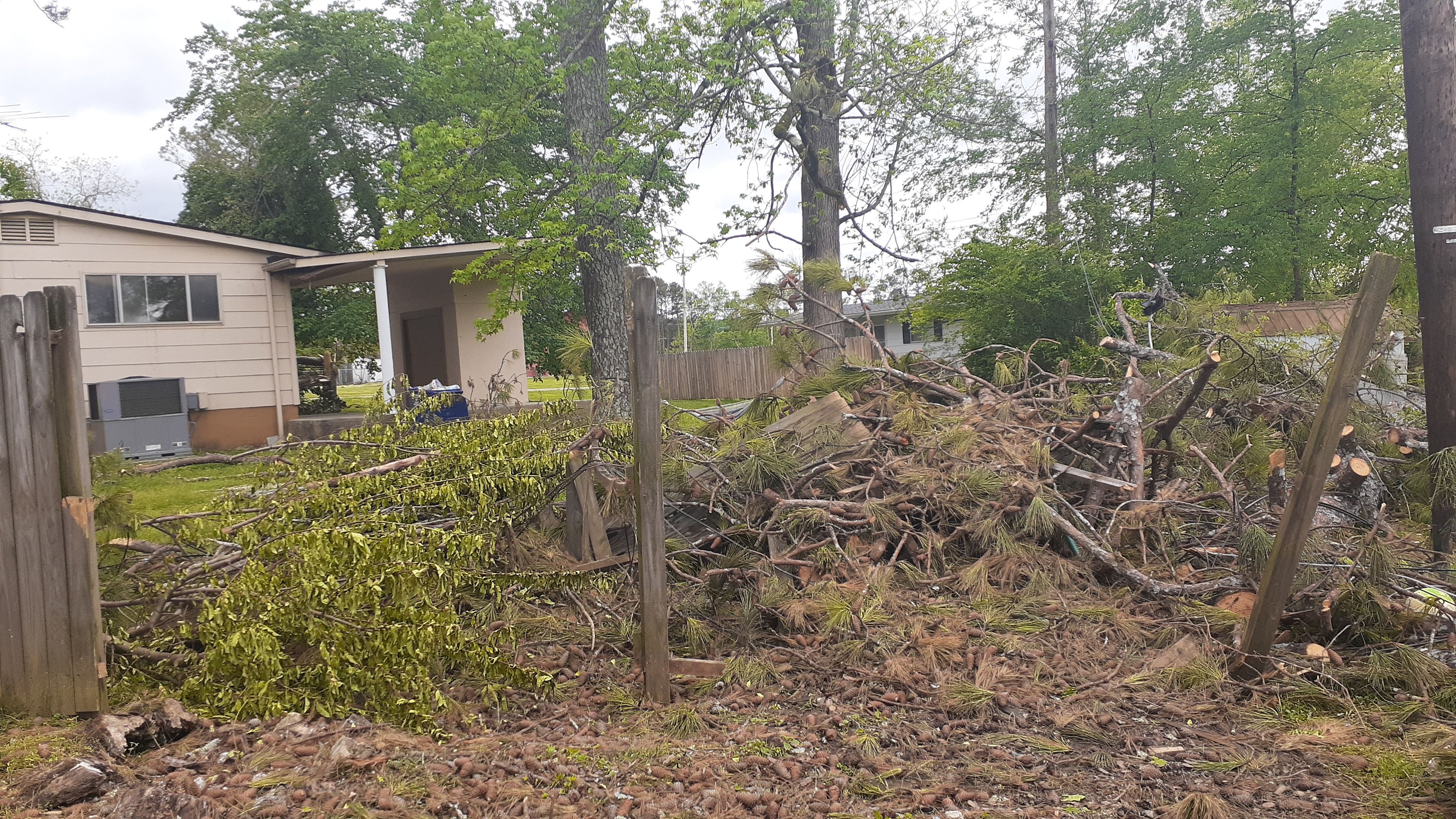  for Professional Tree Service USA in Chattanooga, TN