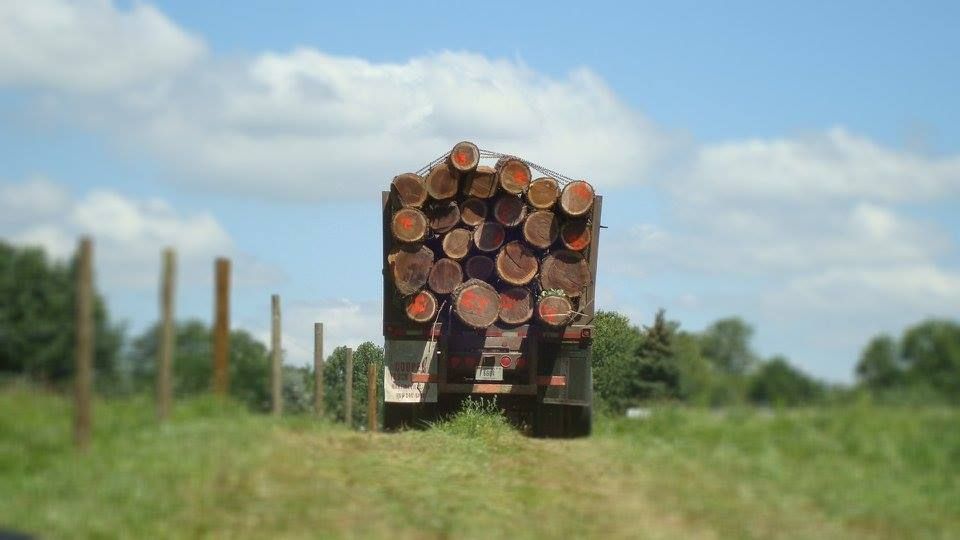 Logging for Bennett Logging in Gosport, Indiana