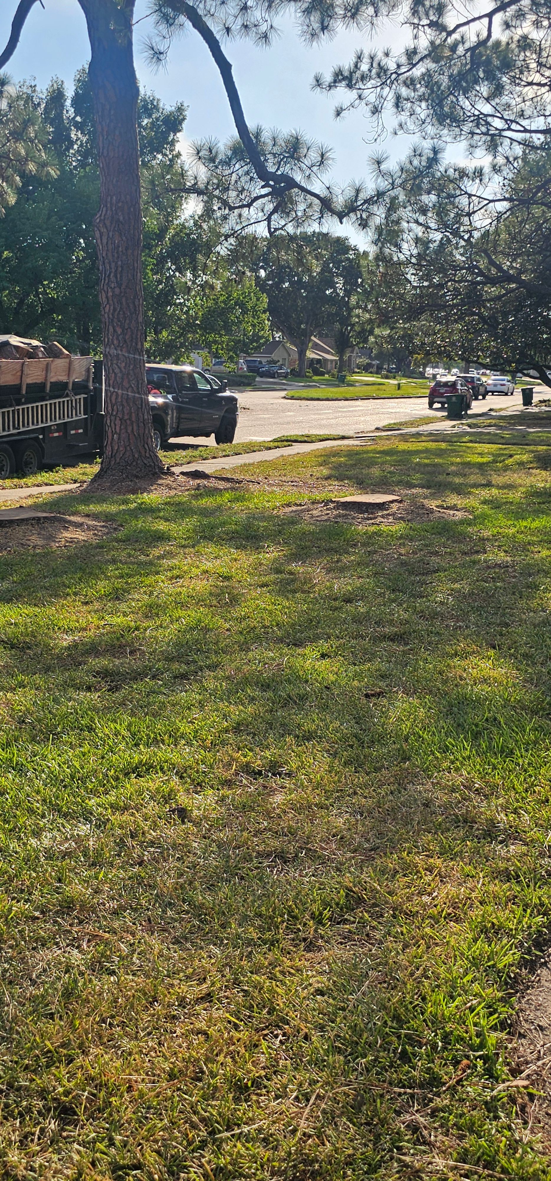  for Servin's Tree Care  in Houston, TX