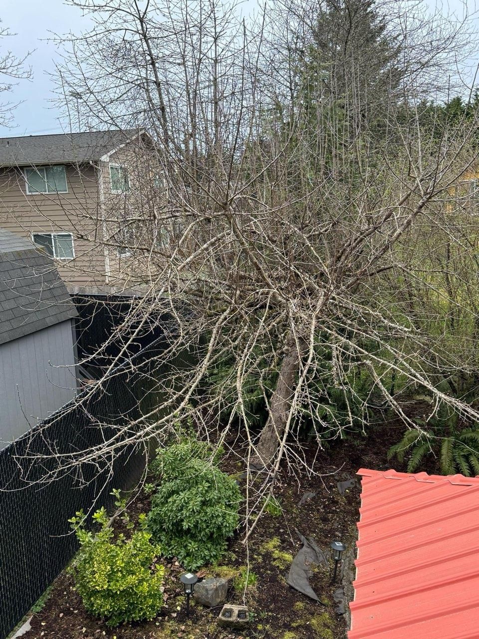  for Avenscapes NW, LLC in Getchell , WA