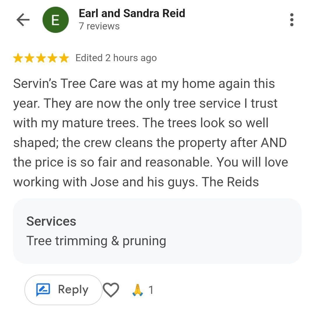  for Servin's Tree Care  in Houston, TX