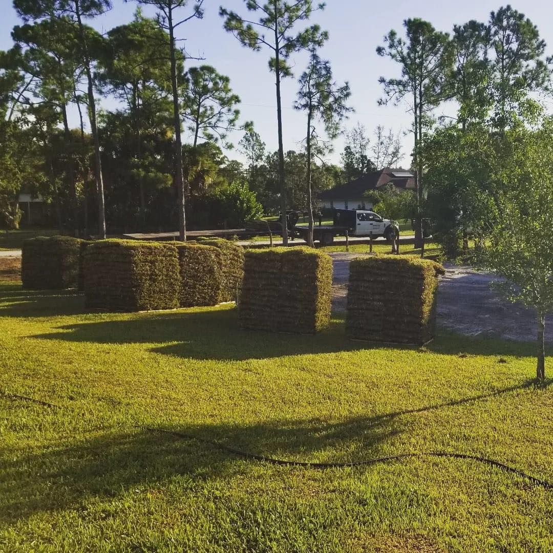 Landscaping for WORKS SOD in West Palm Beach, FL