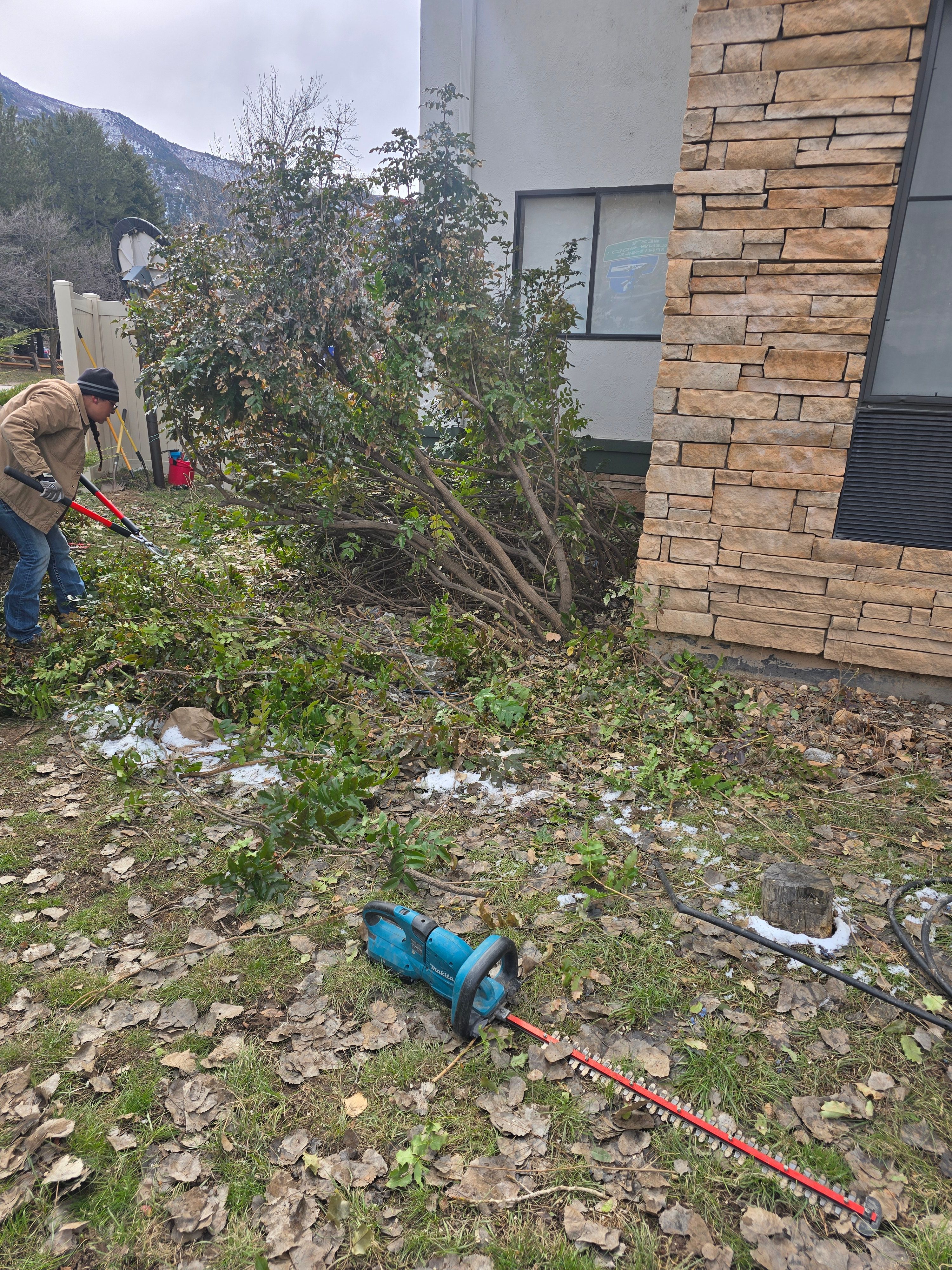 All Photos for LRS: Landscape, Rescue, Snow in Silt, CO