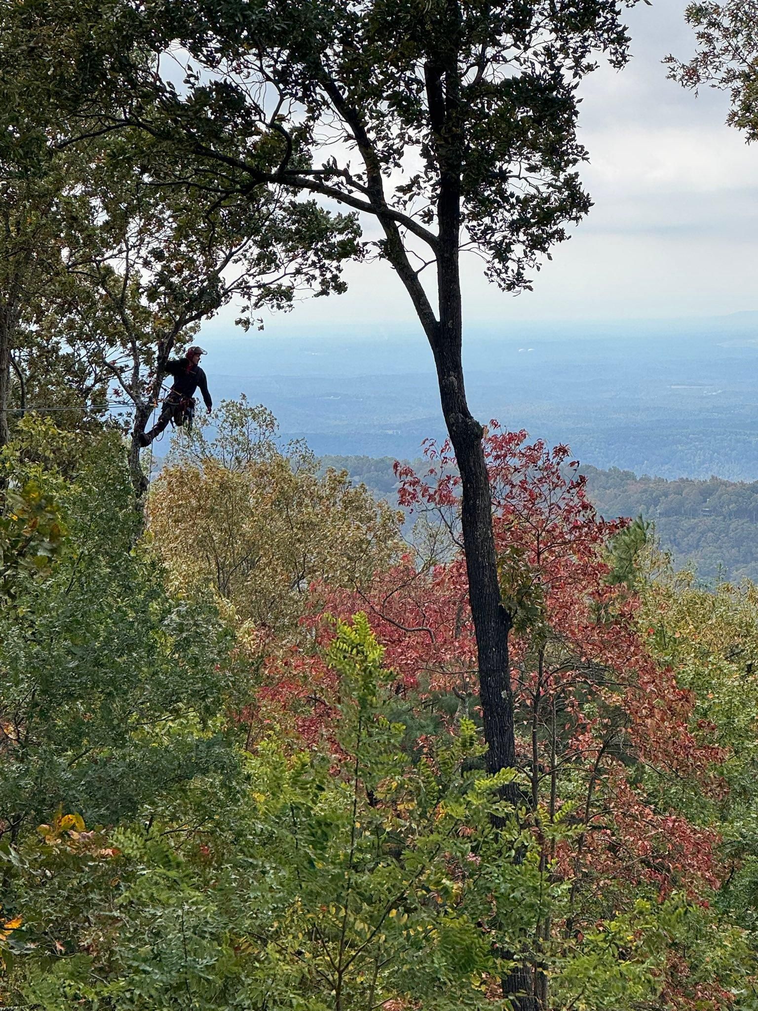 All Photos for Pinedown LLC in Cherokee County, GA