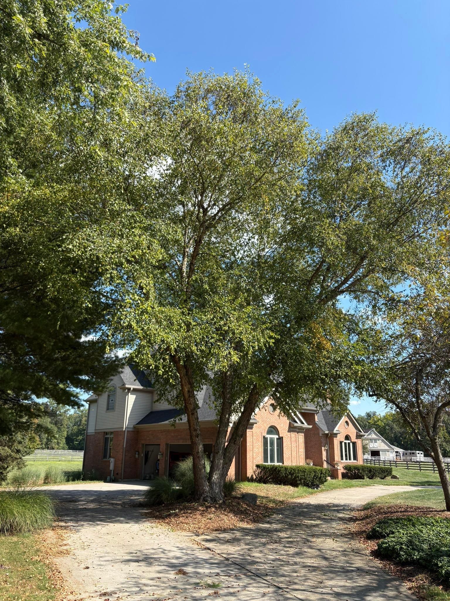  for Dig-It Tree Company in , 