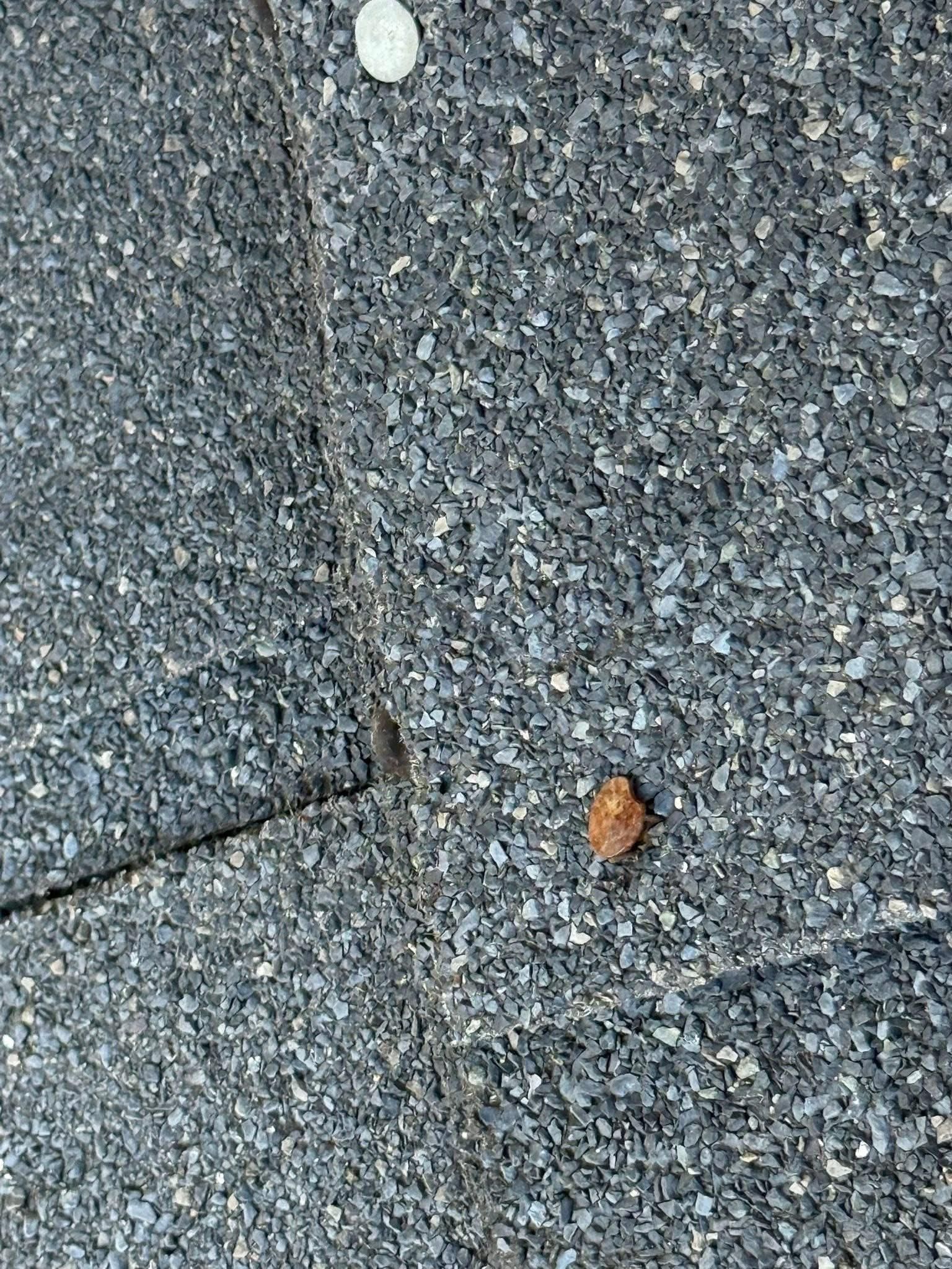  for Precision Remodeling and Property Maintenance  in Detroit, MI