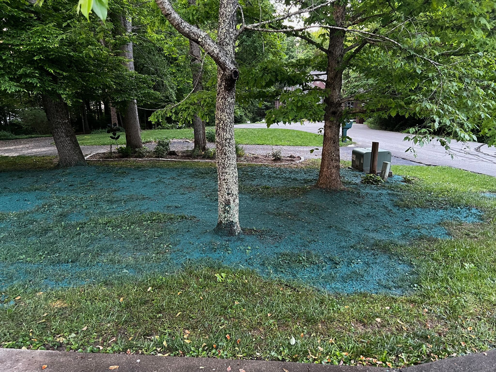  for Hale’s Hydroseeding in London, KY