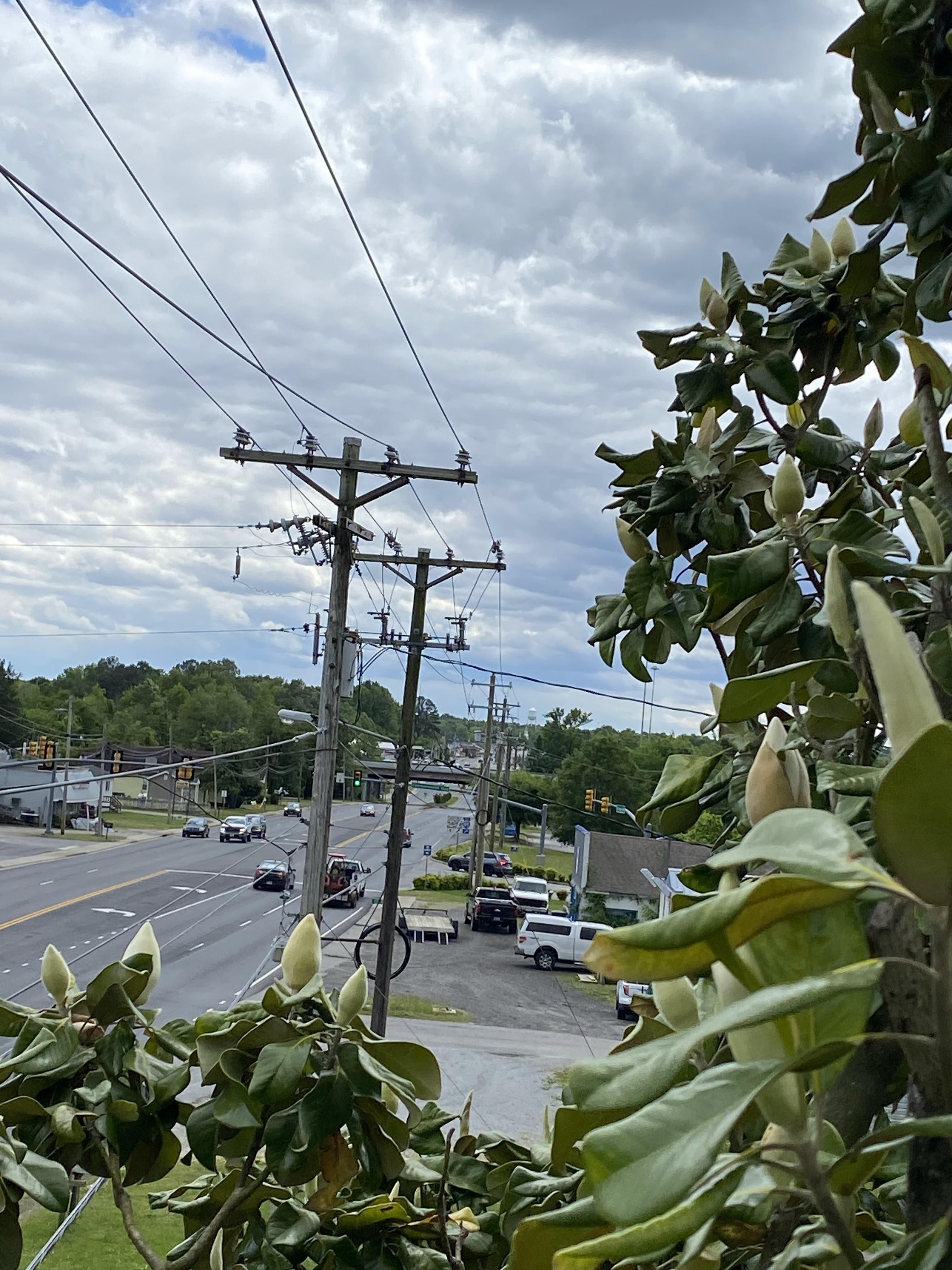  for Ascending Tree Service LLC in Kenbridge, VA