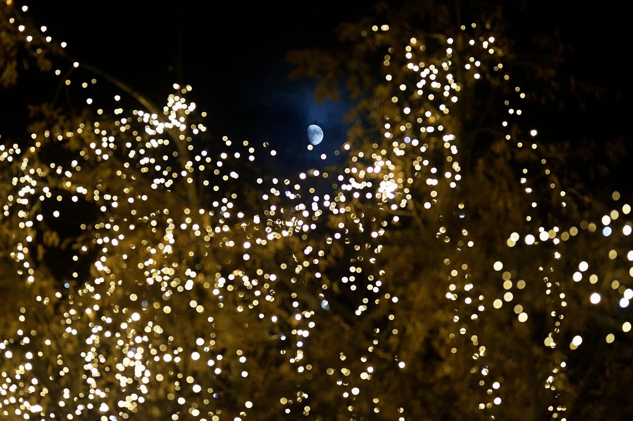  for Amazing Christmas Lights in Magnolia, TX