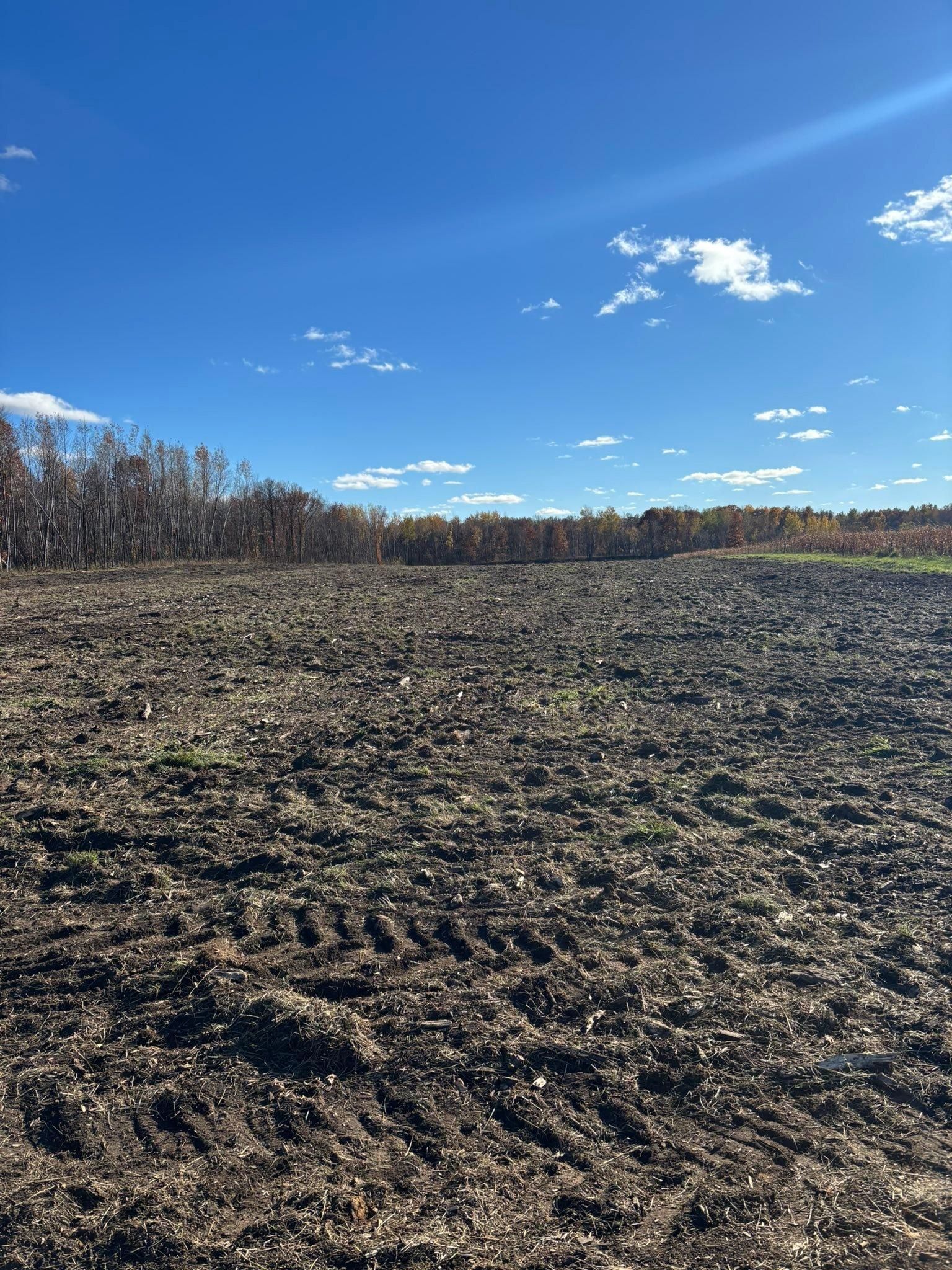  for Premier Services in New London, MN