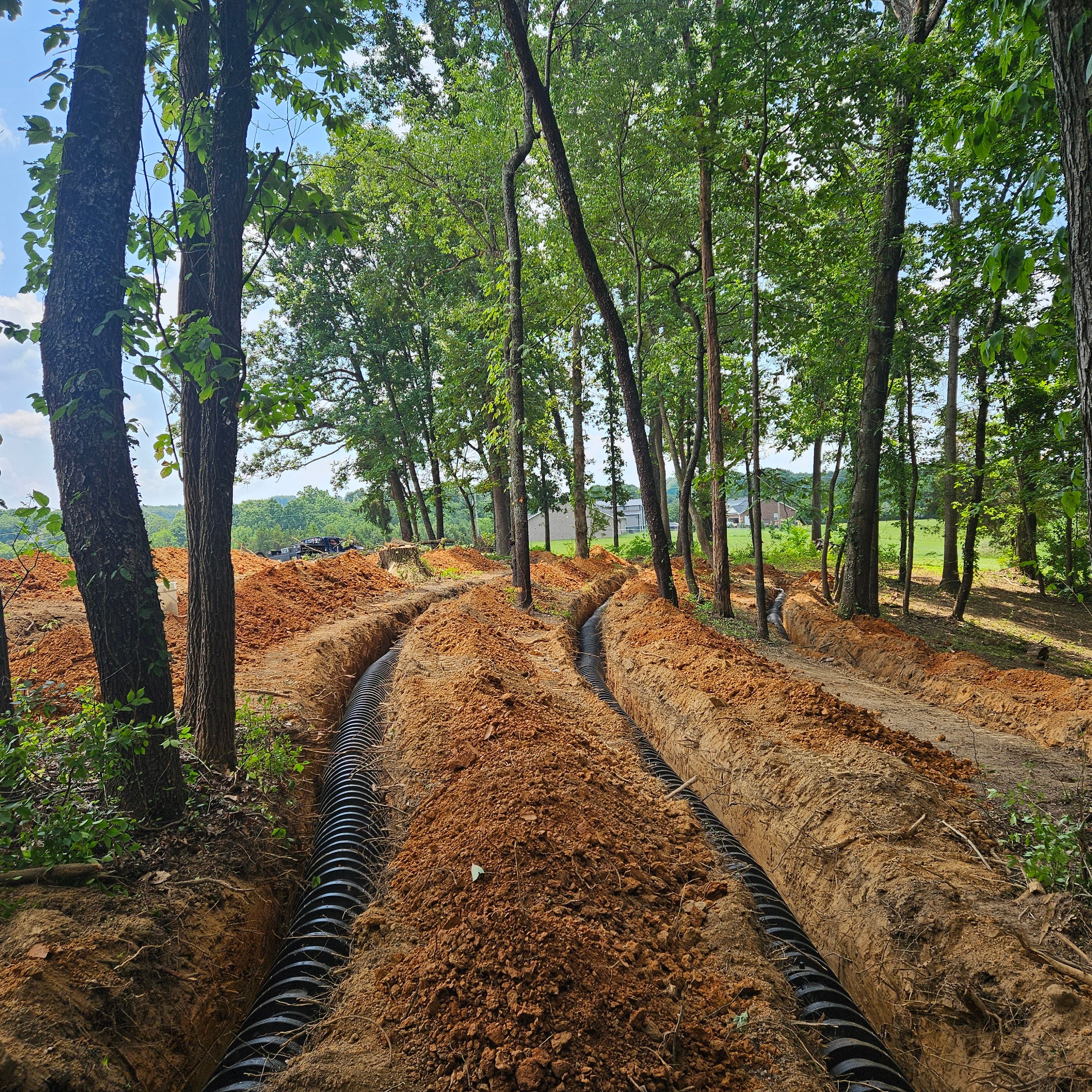  for Bledsoe & Sons Excavating and Developing in Dandridge, TN