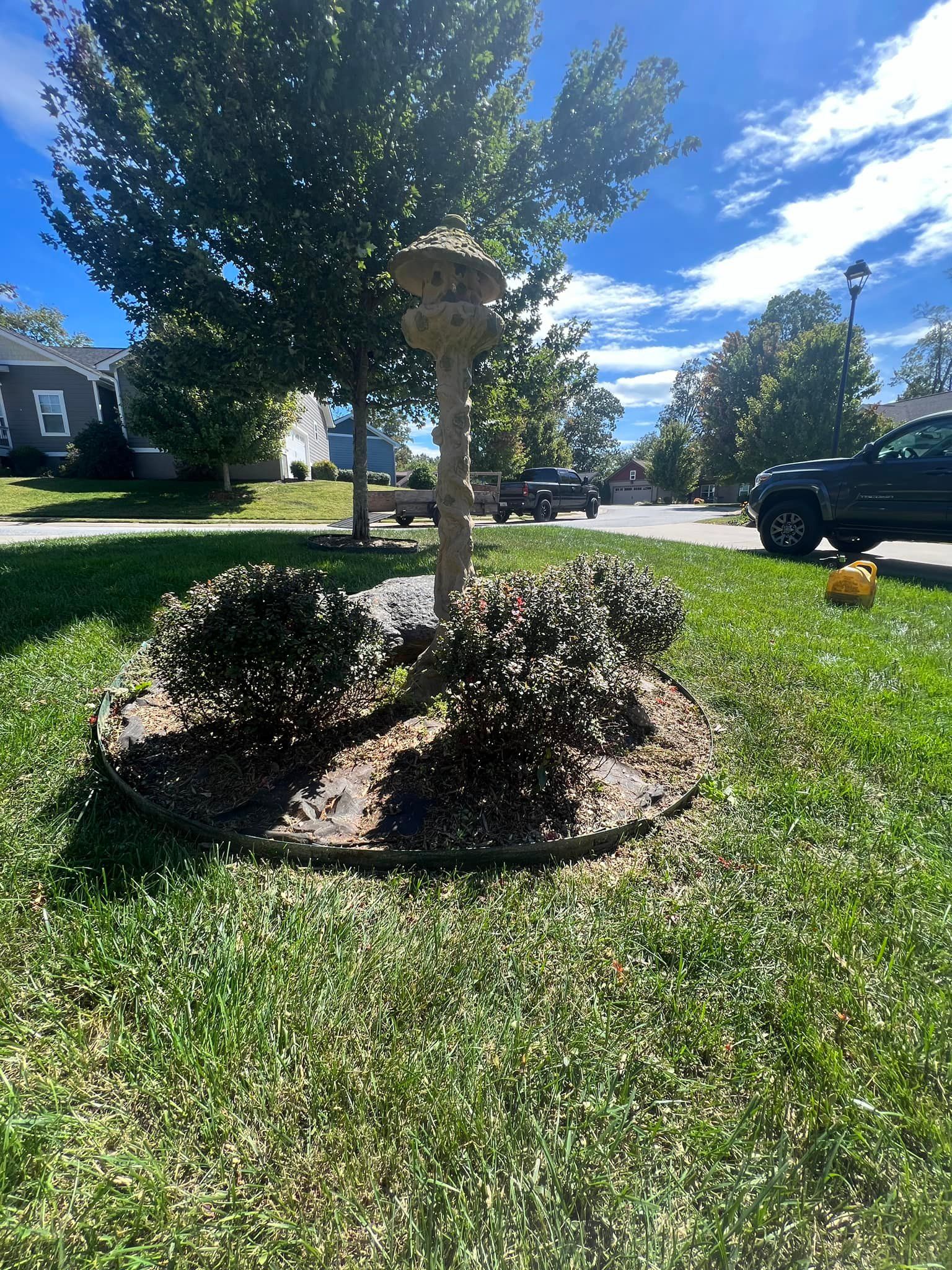 All Photos for SkyLimit LawnCare in Asheville, NC