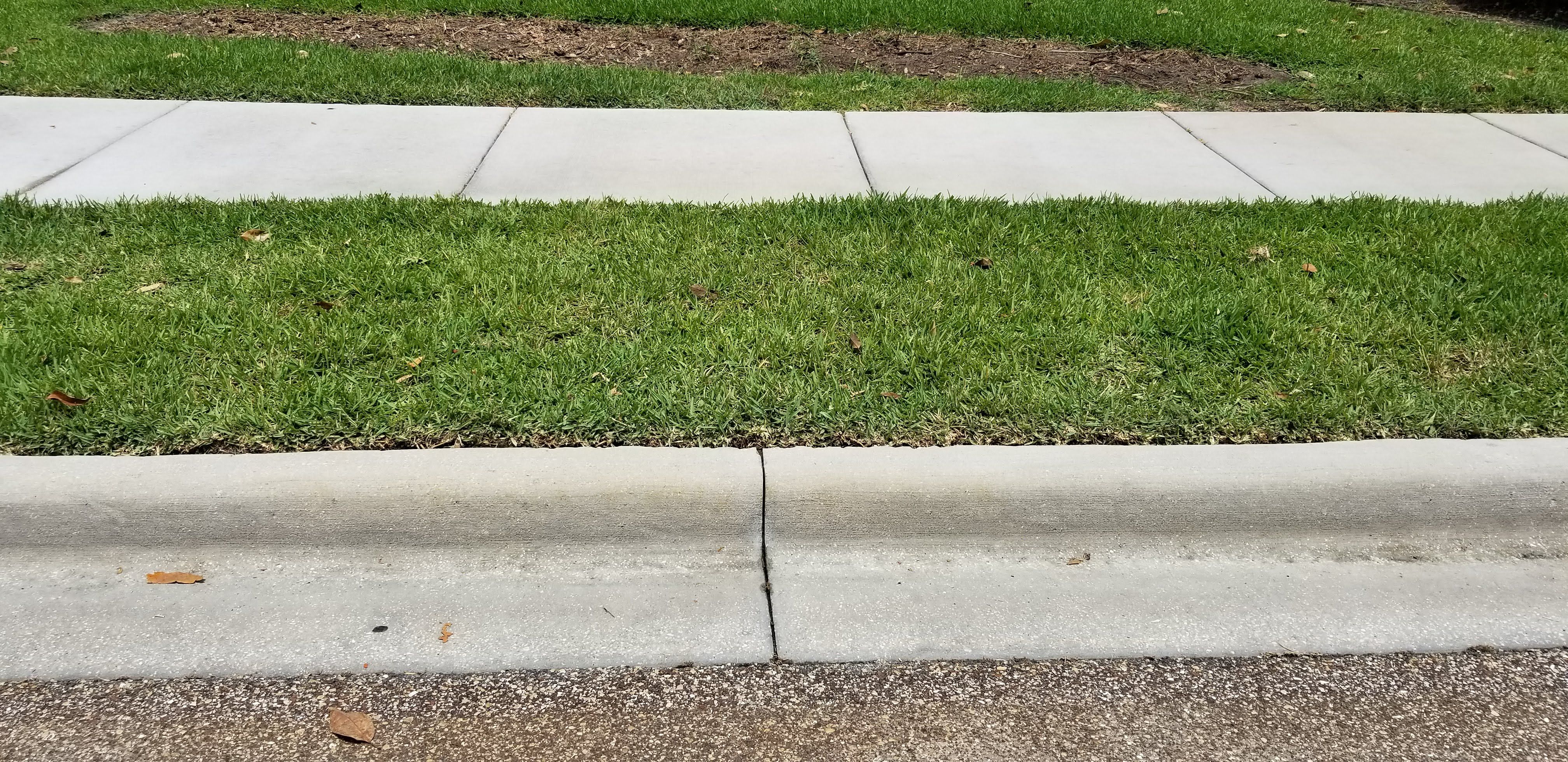  for Blue Stream Roof Cleaning & Pressure Washing in Tampa, FL