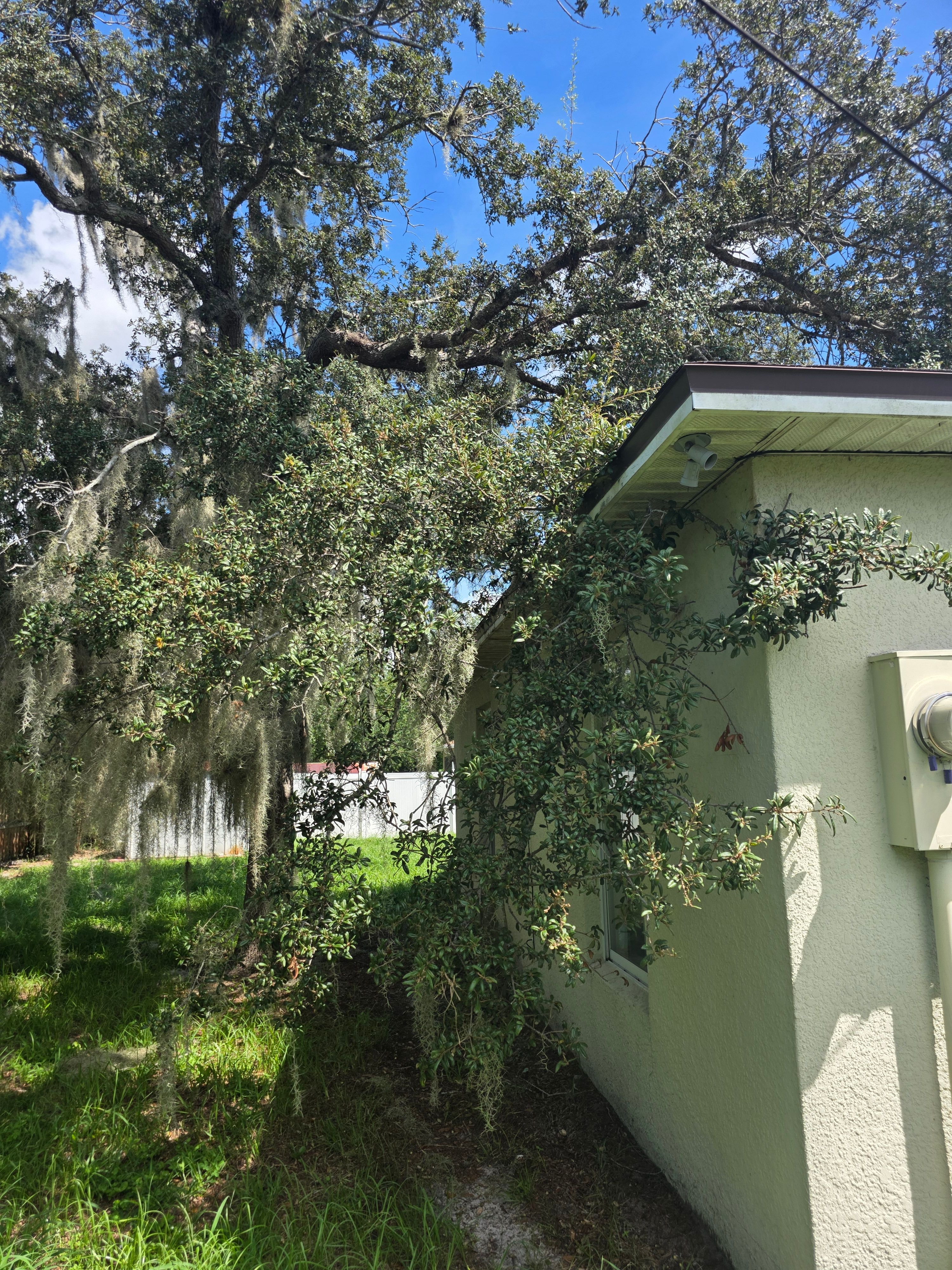 All Photos for Highlife Tree Care And Landscaping in Altamonte Springs, FL