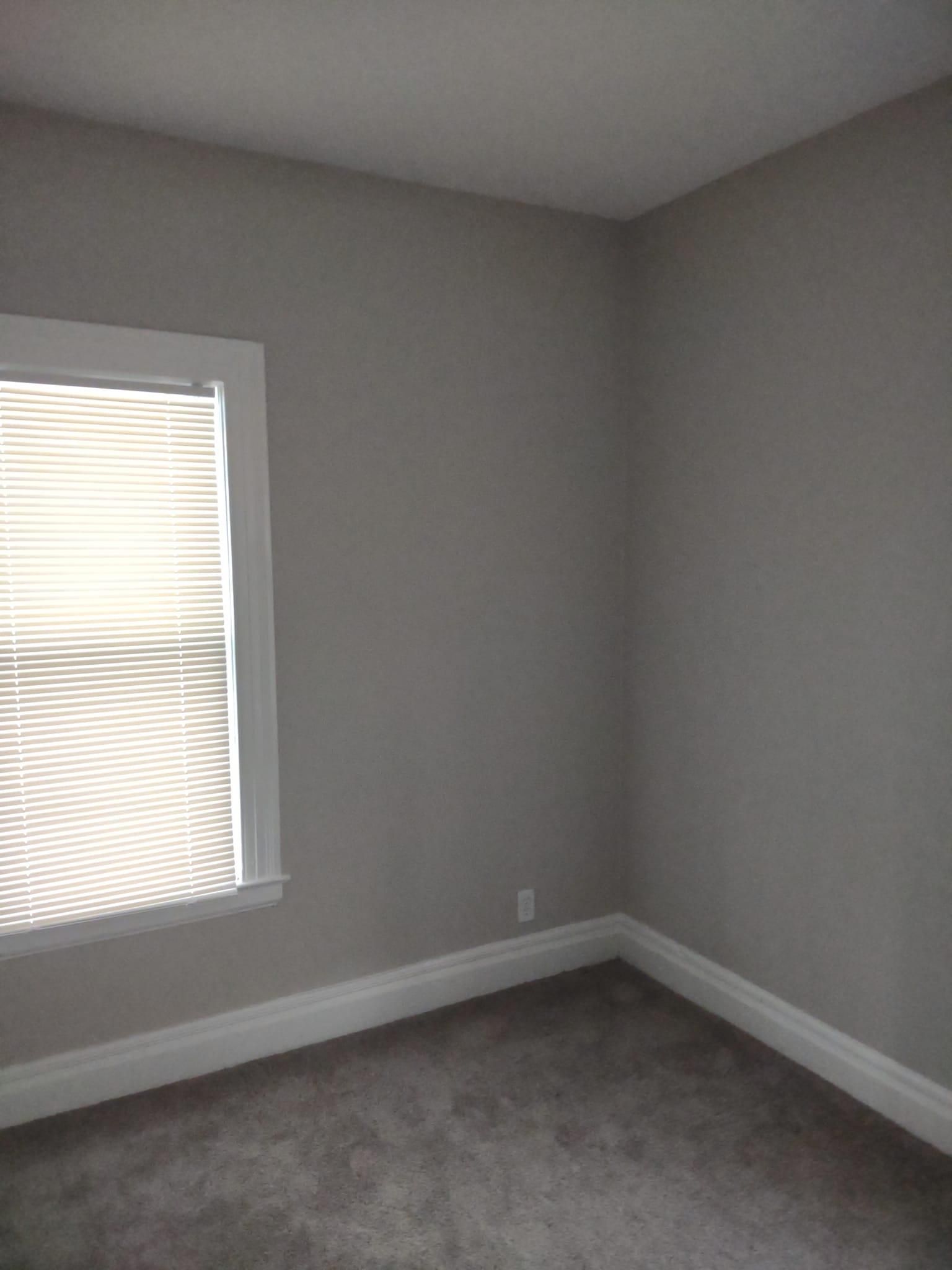  for Painless Painting And Drywall Repair LLC in Rochester, NY