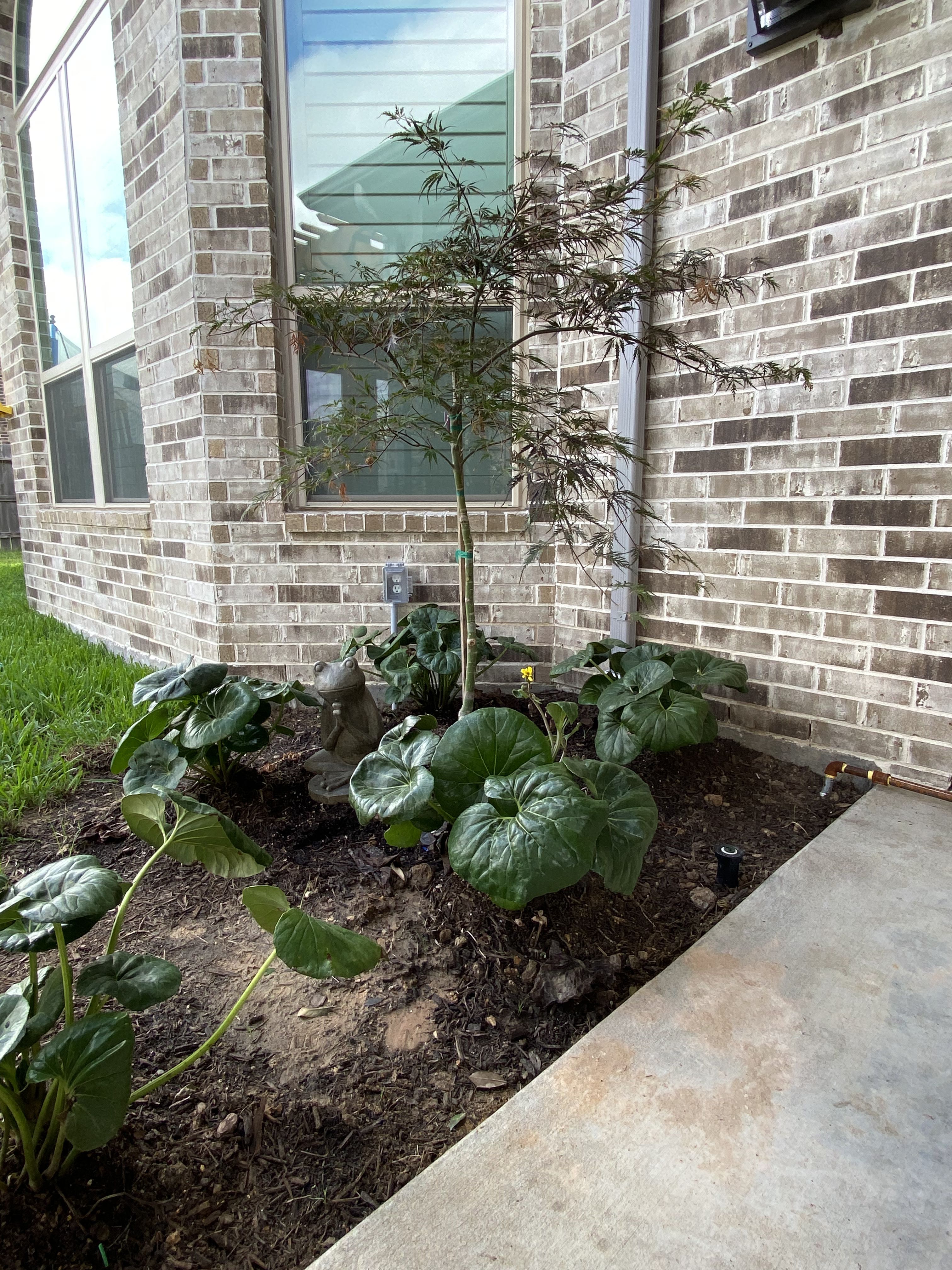 All Photos for Atlas Land Design in Creekside Park, TX