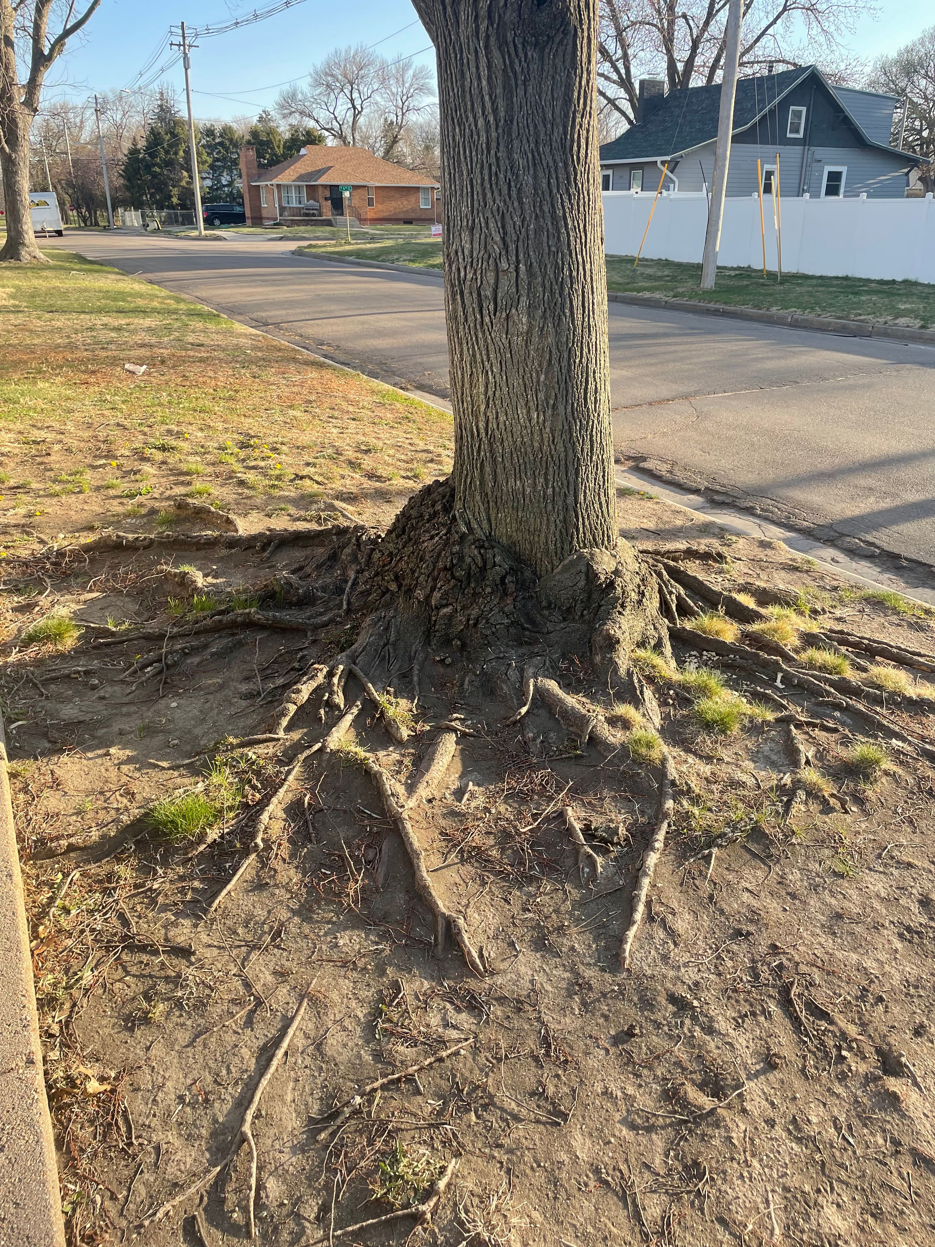  for Jacks Lawn & Landscape LLC  in Hastings, NE