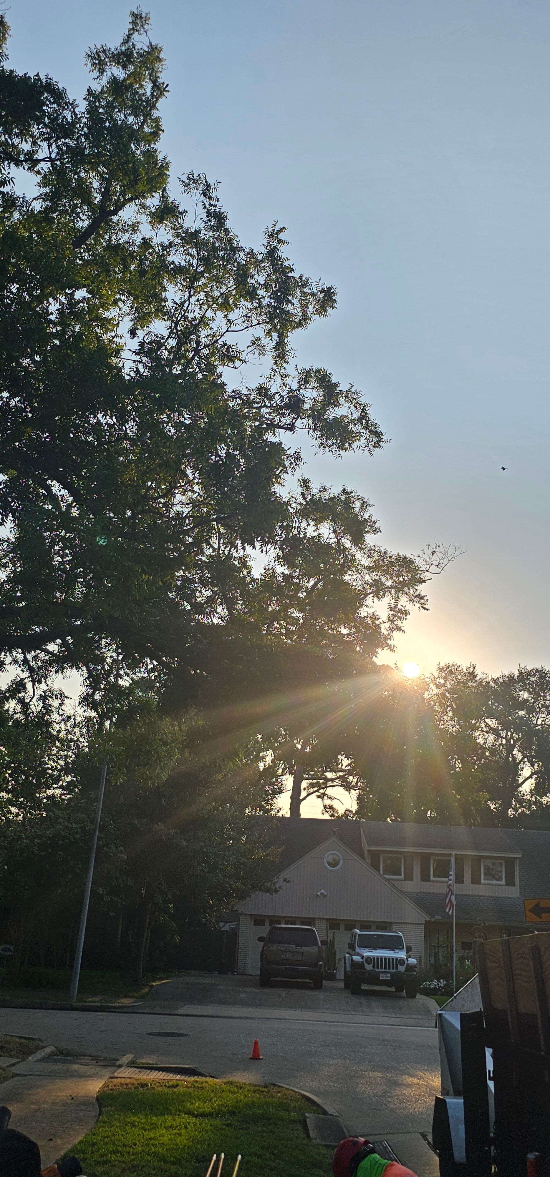  for Servin's Tree Care  in Houston, TX
