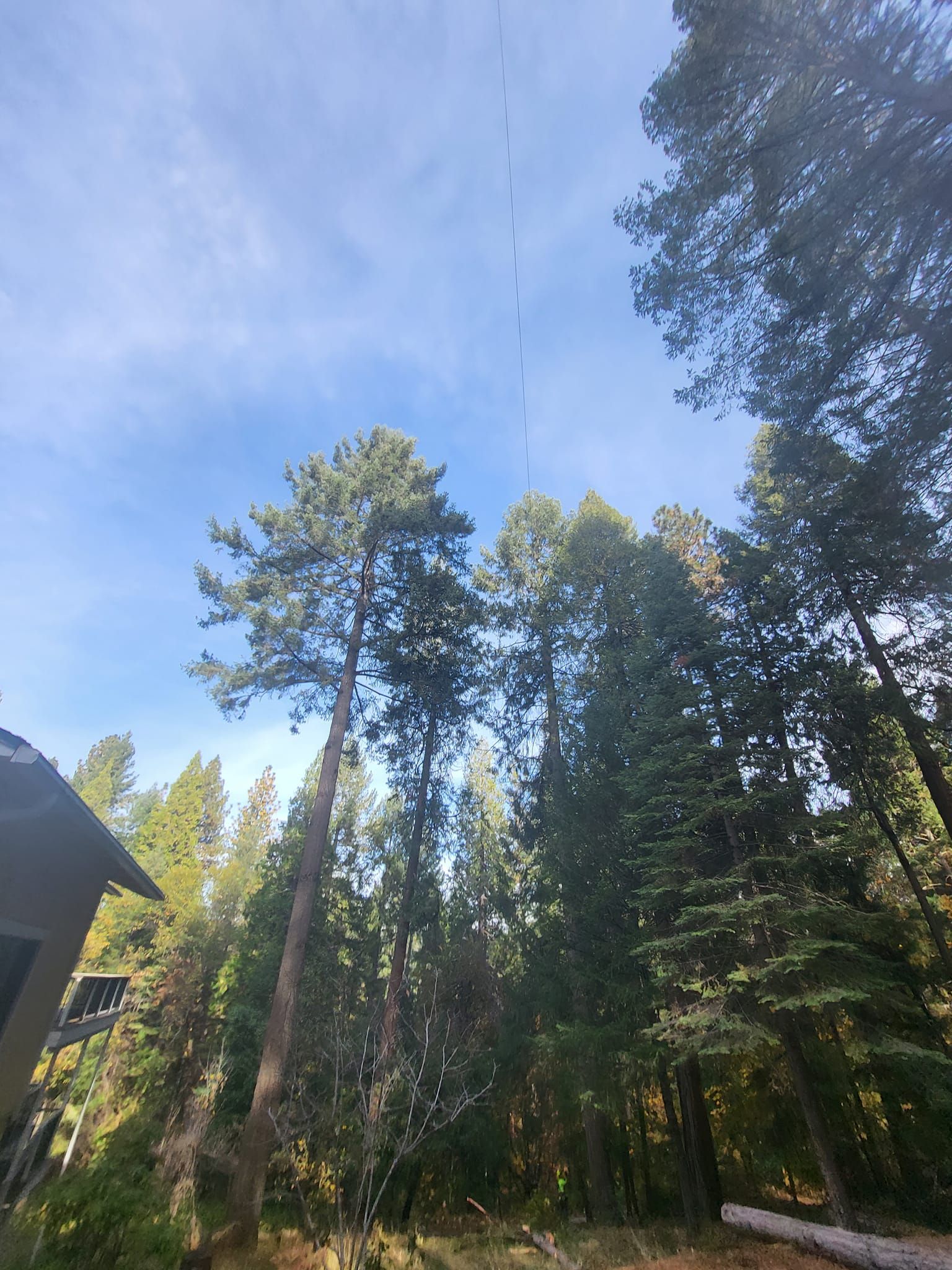  for Terra Heights Tree Experts & Landscaping  in Grass Valley,  CA