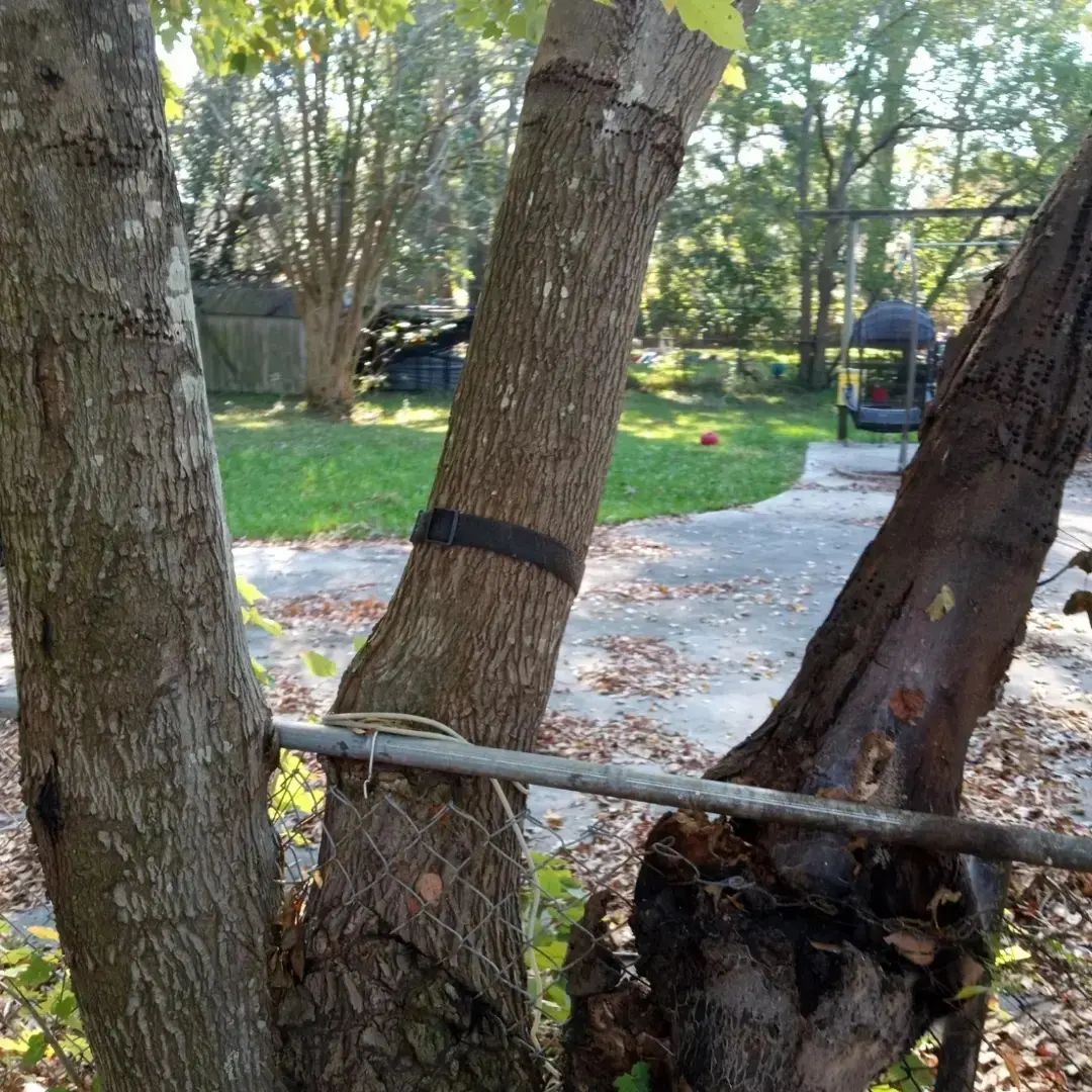  for Carolina Pros in Goose Creek, SC