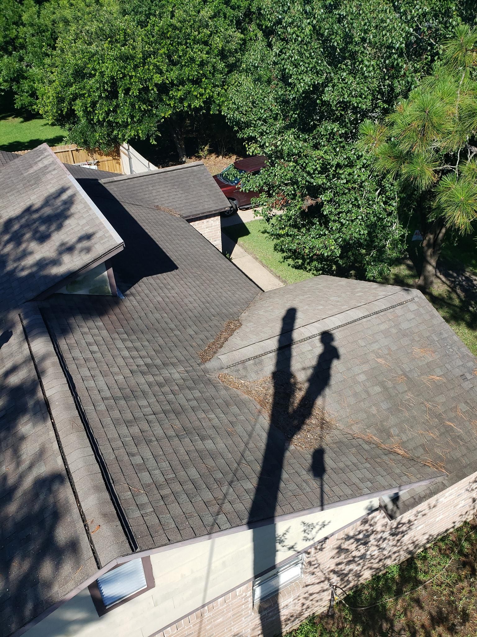  for Servin's Tree Care  in Houston, TX