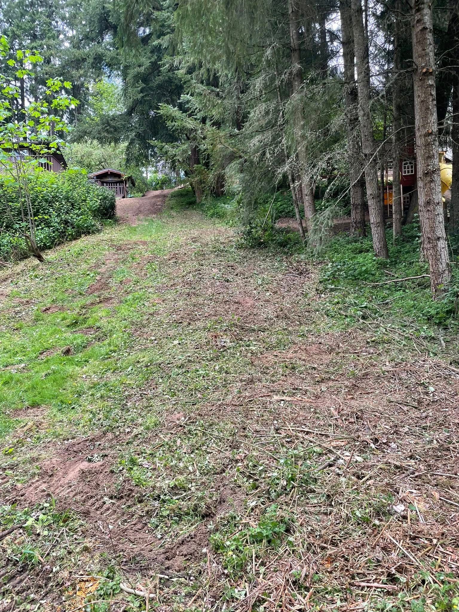  for Wilderness Stump Grinding in Orting, WA