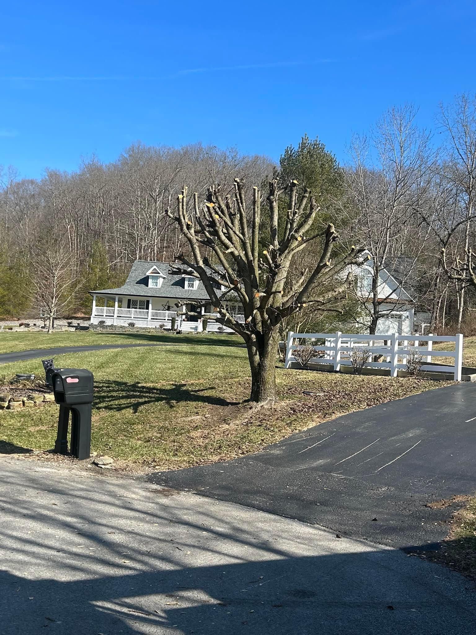 Tree Removal for Atwood’s Tree Care in Liberty,  KY