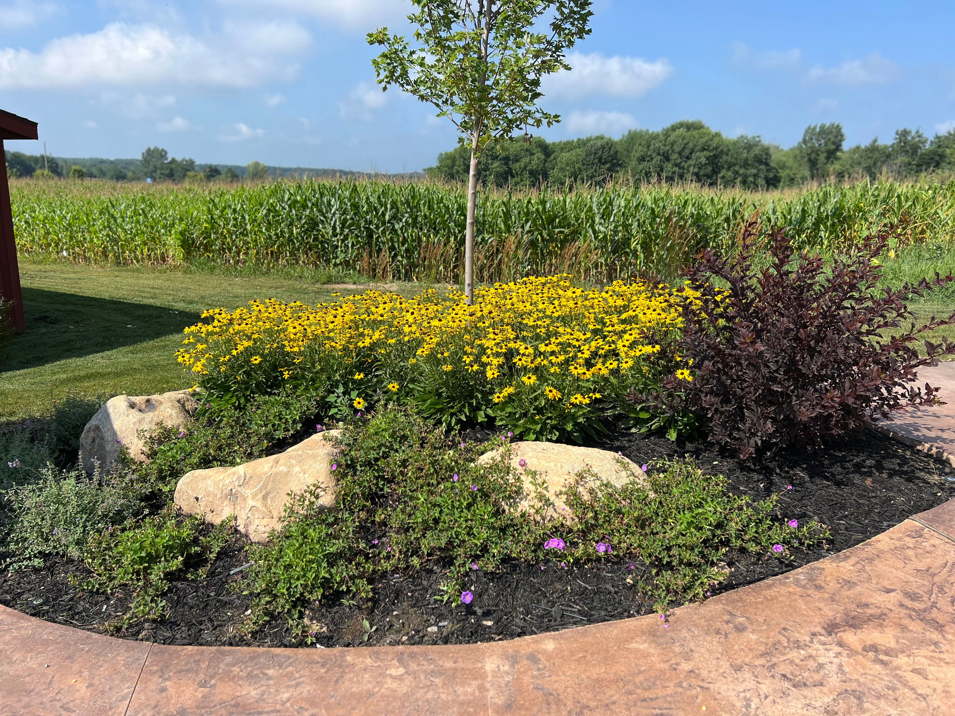  for Greenscape Lawns in Montague, MI