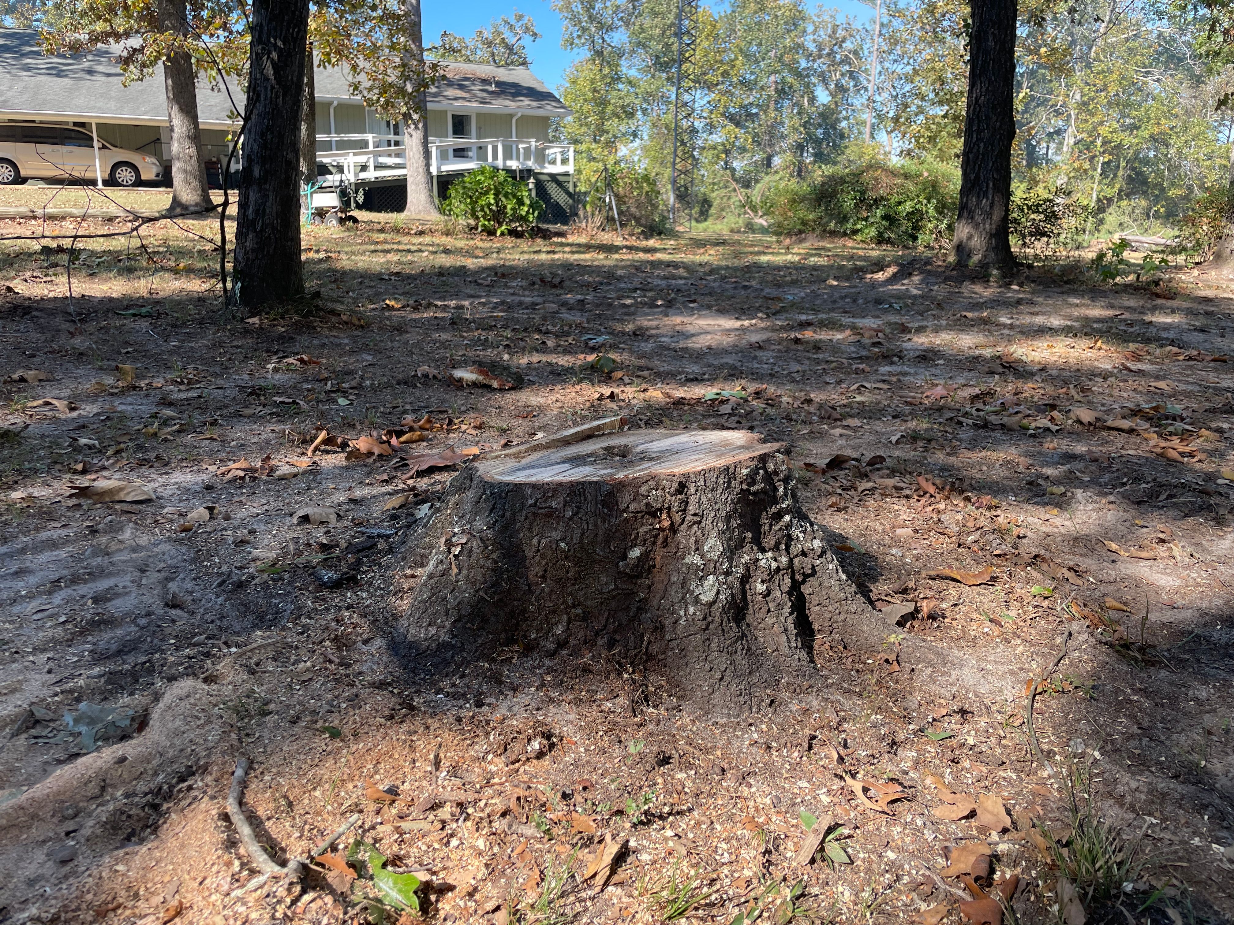 Stump Grinding for MJB’s Stump Grinding LLC in Tennille, GA