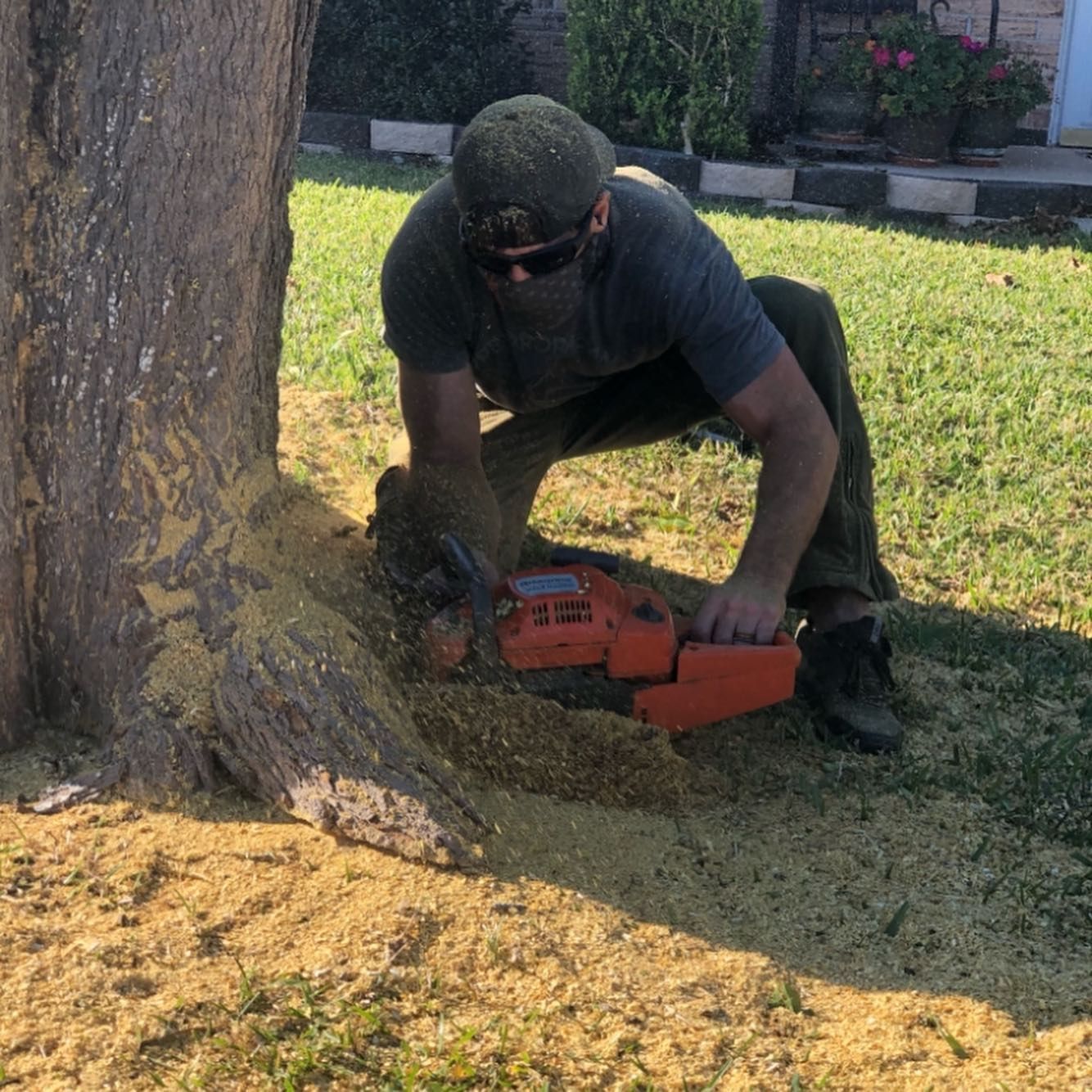  for Tesla Tree Trimming in Kempner, TX