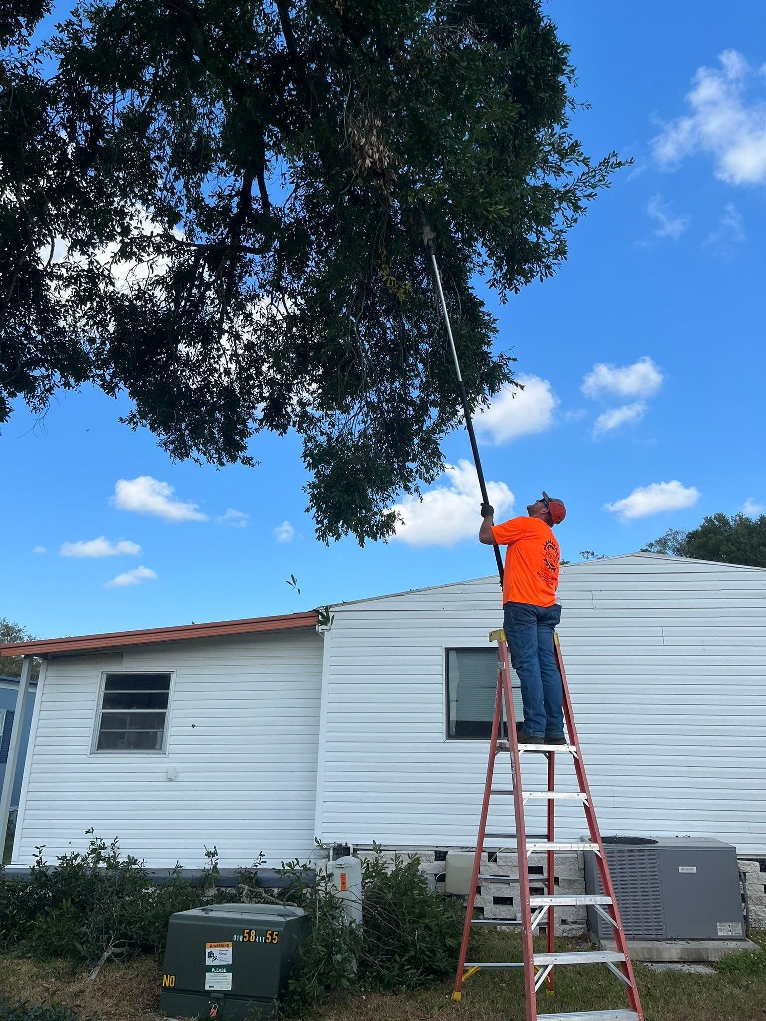  for Bills Tree Service in Valrico, FL