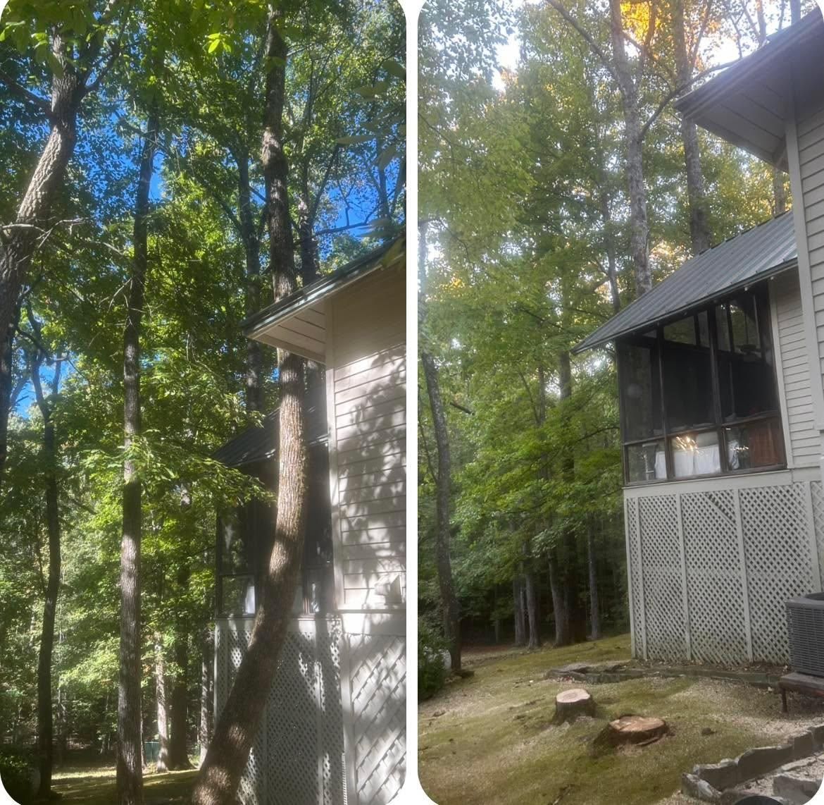  for McBee’s Tree Service in Sewanee, TN