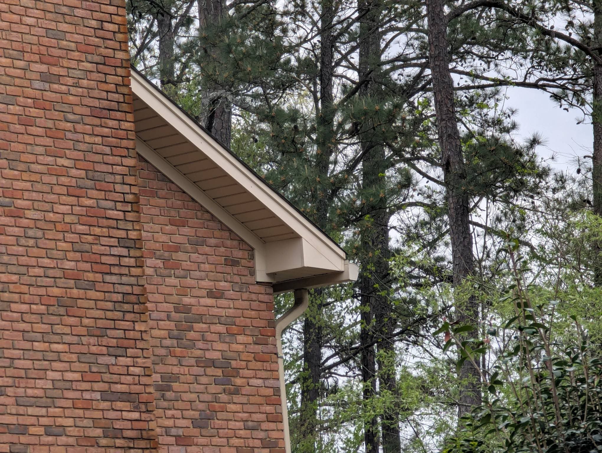  for Squeaky Clean Windows Gutters & More in Hoover, AL