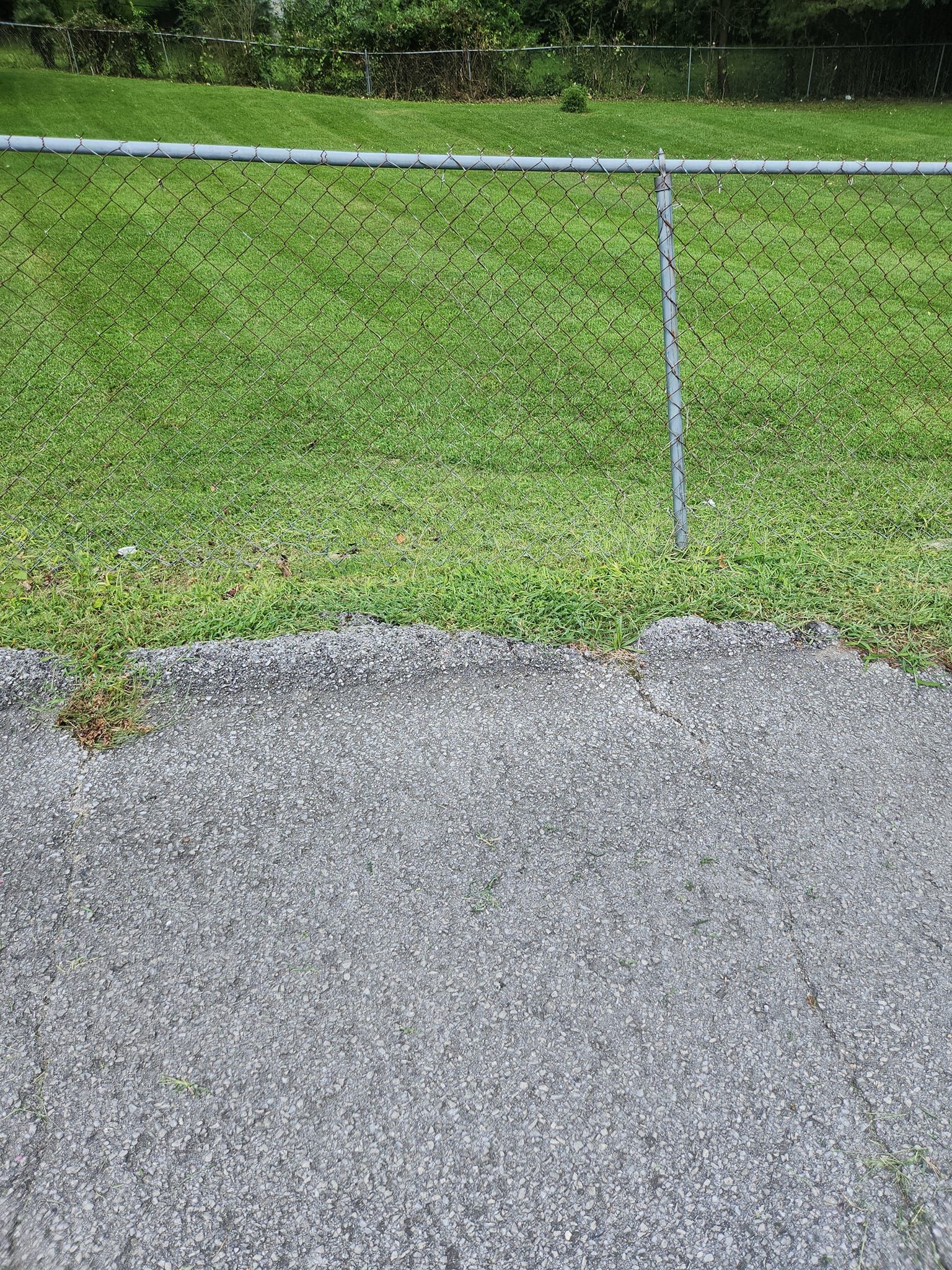  for Ordered Steps Landscaping in Rossville, GA