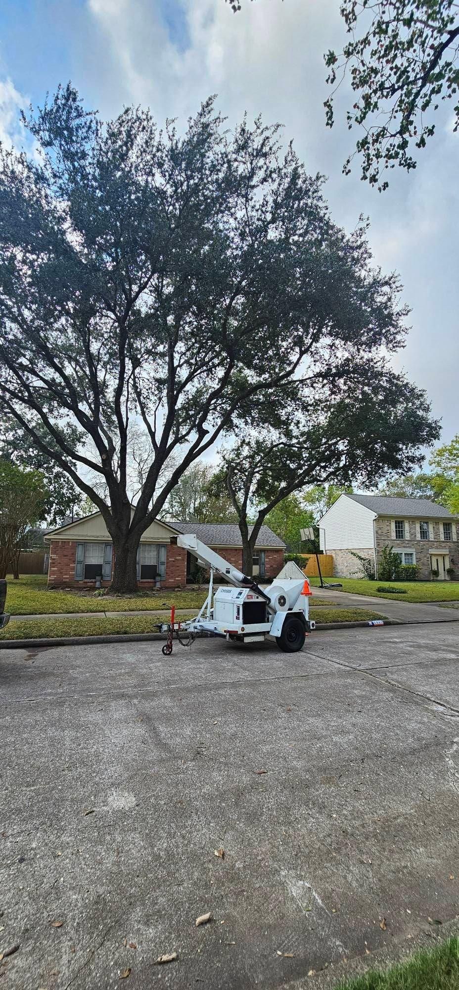  for Servin's Tree Care  in Houston, TX