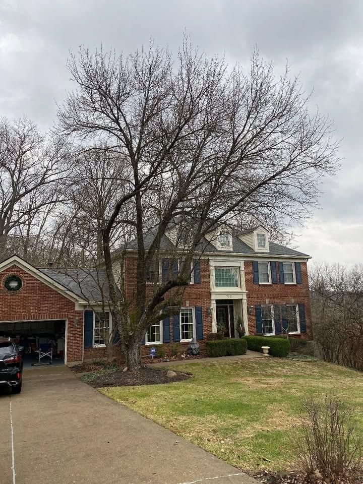  for Kingdom Tree Trimming and Removal LLC in Covington, KY