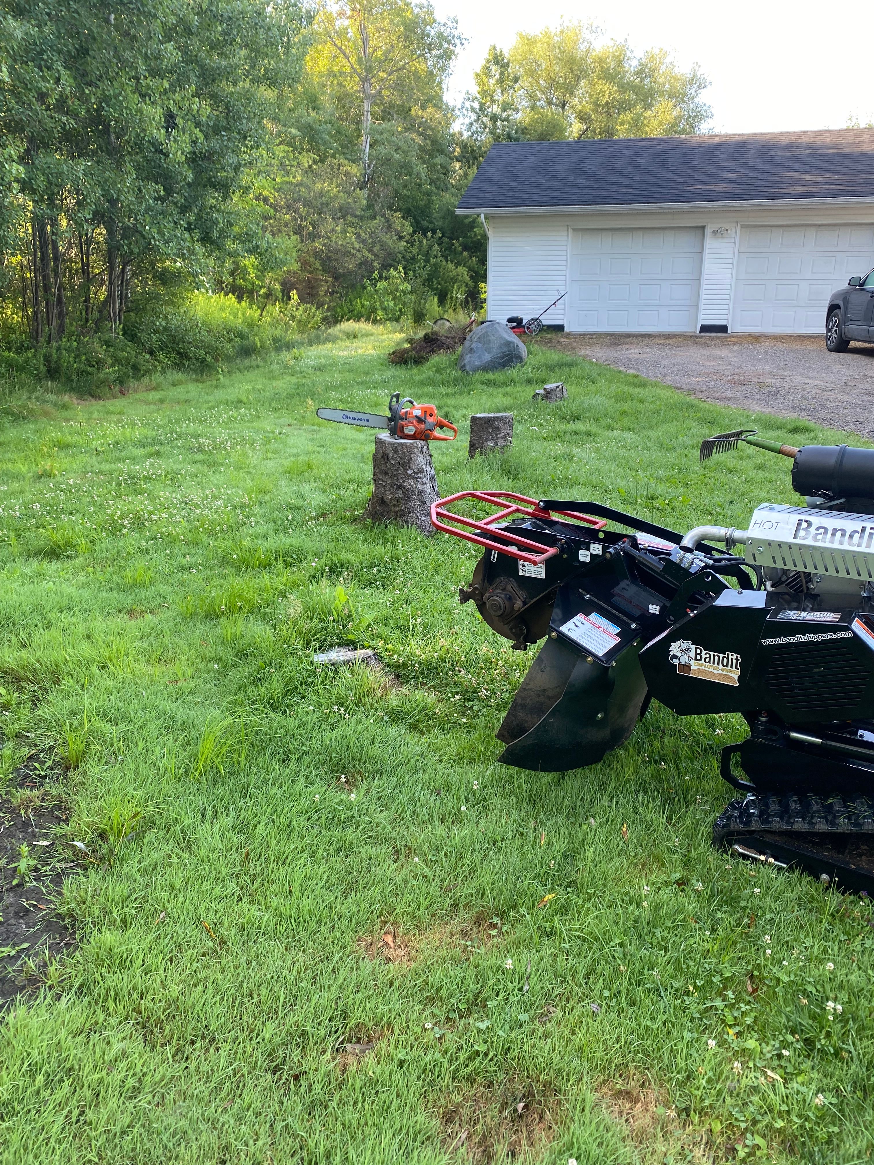 Stump Grinding for Bear Creek Tree Service LLC in Rudyard, MI