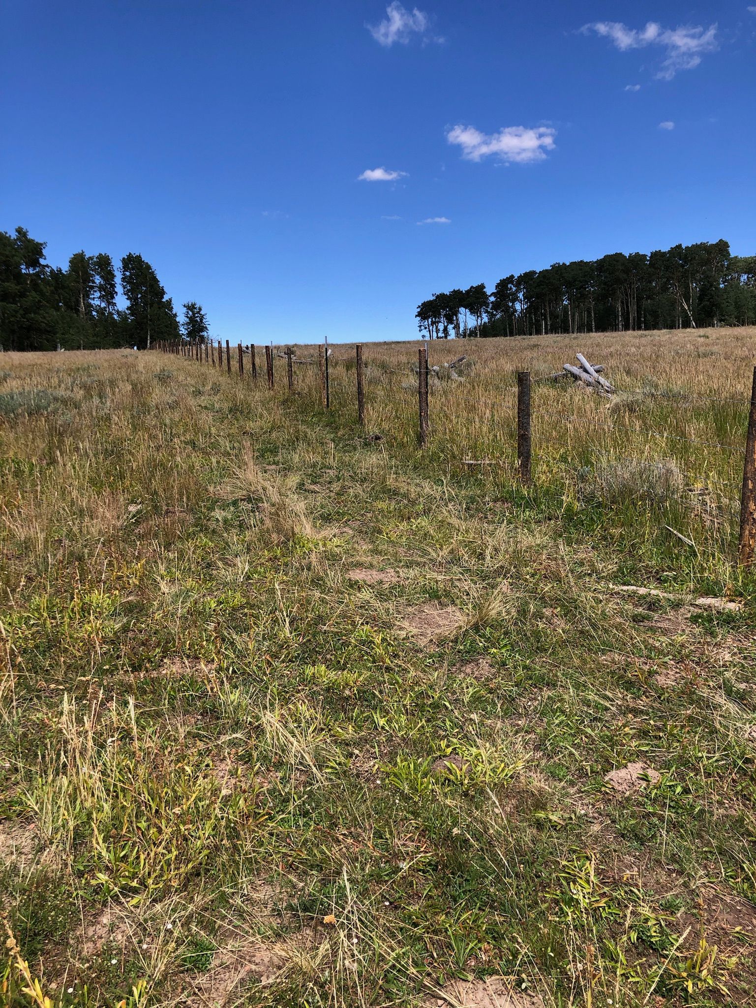 Fences for Burton Fencing in Parowan, UT