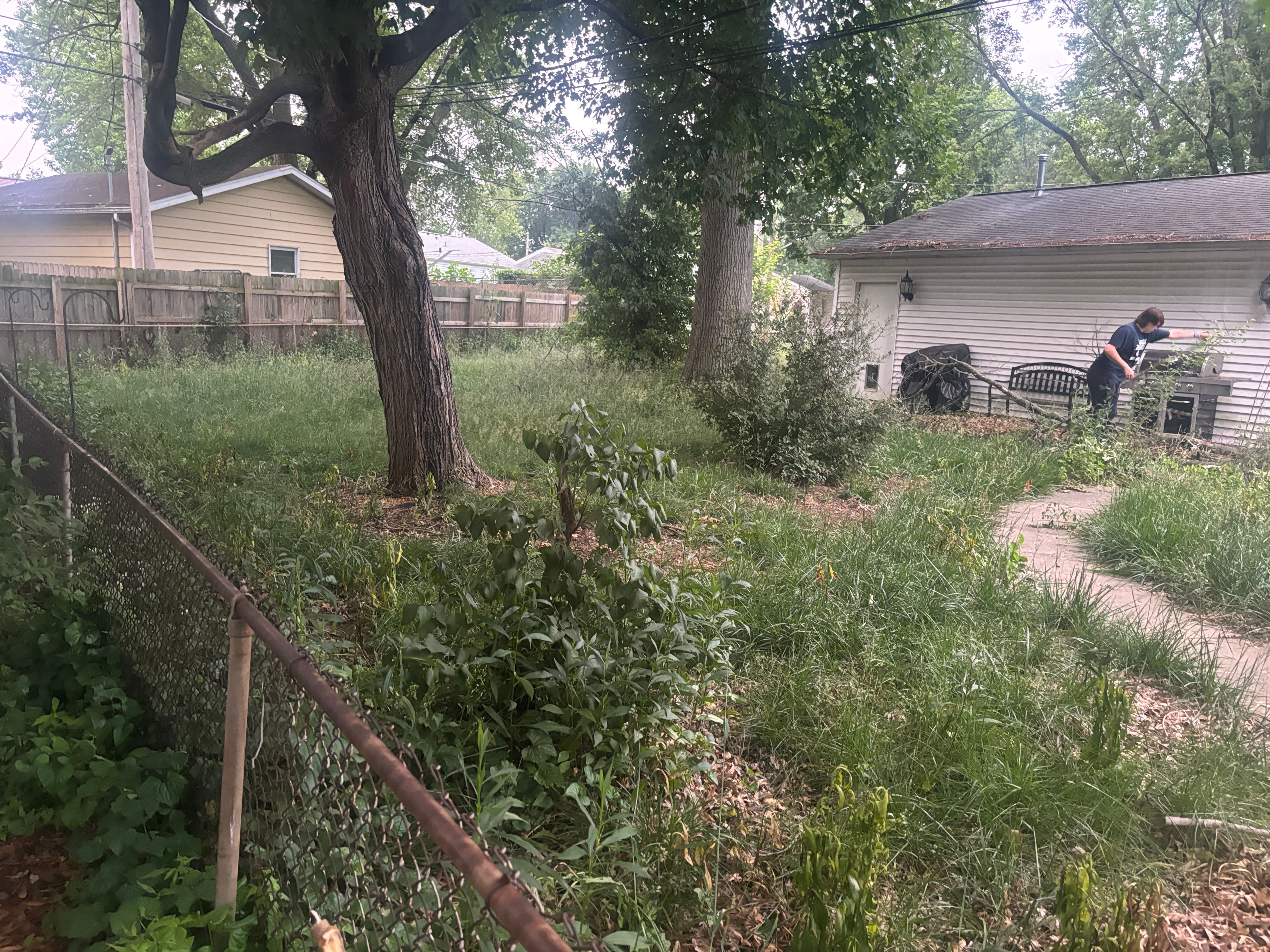 All Photos for KY Lawn Care in Springfield, IL