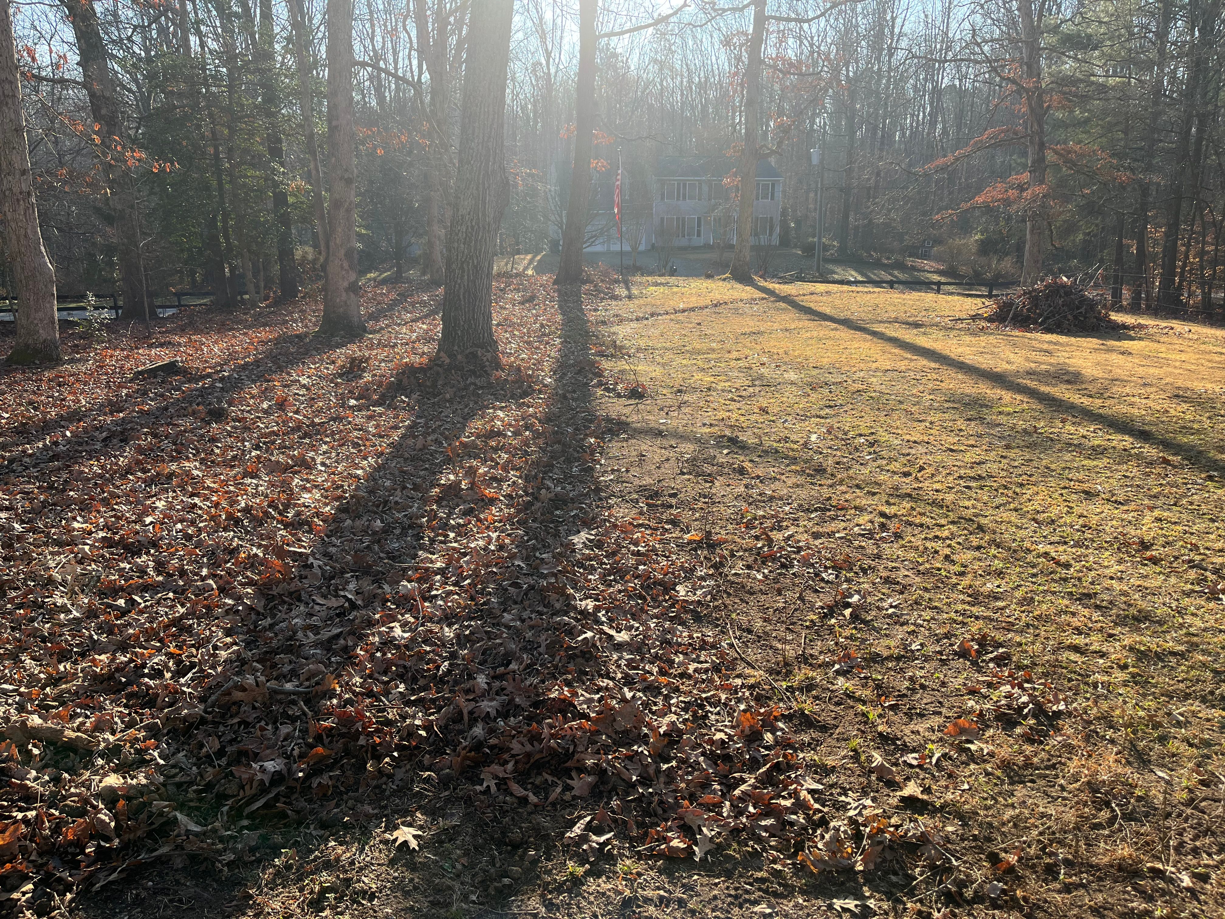  for Atlas Home Services in Mechanicsville, VA