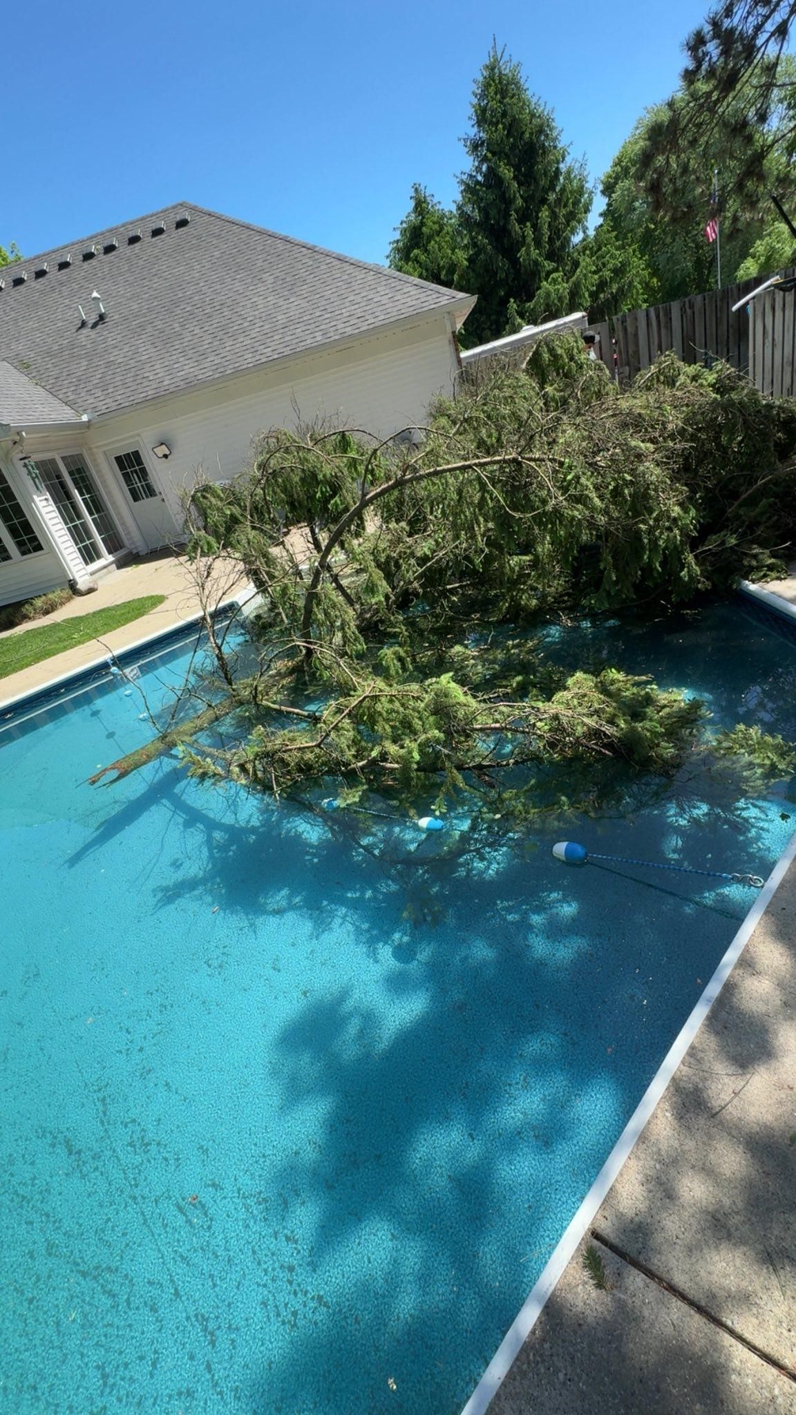  for Branching Out Tree Service in Hastings, MI