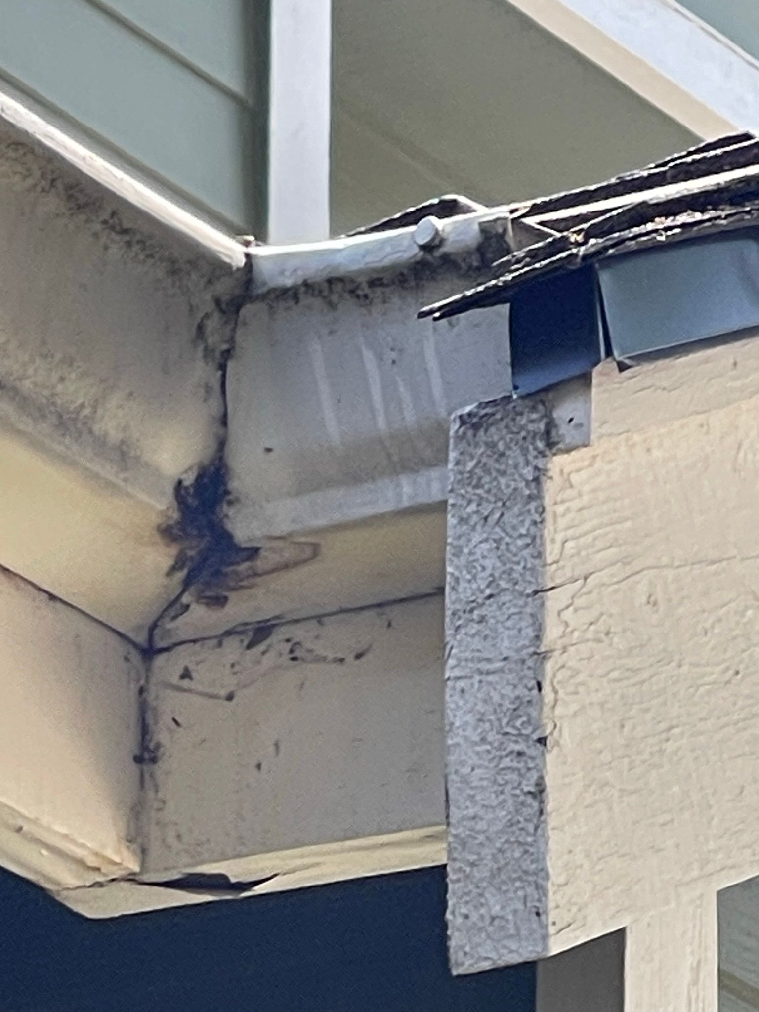  for Tony's Remodeling & Painting in Renton, WA