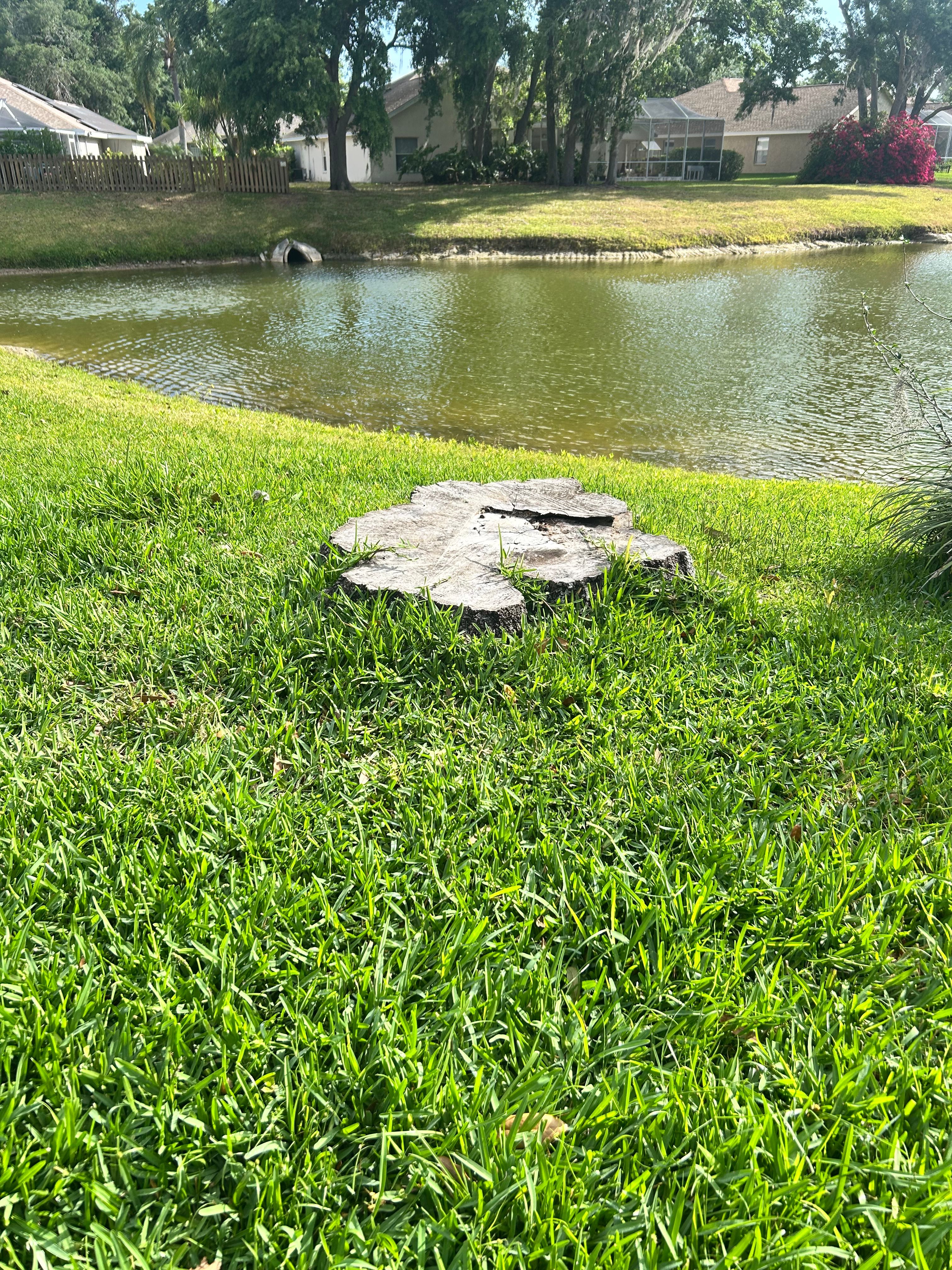  for Greene Acres Stump Grinding in Plant City, FL