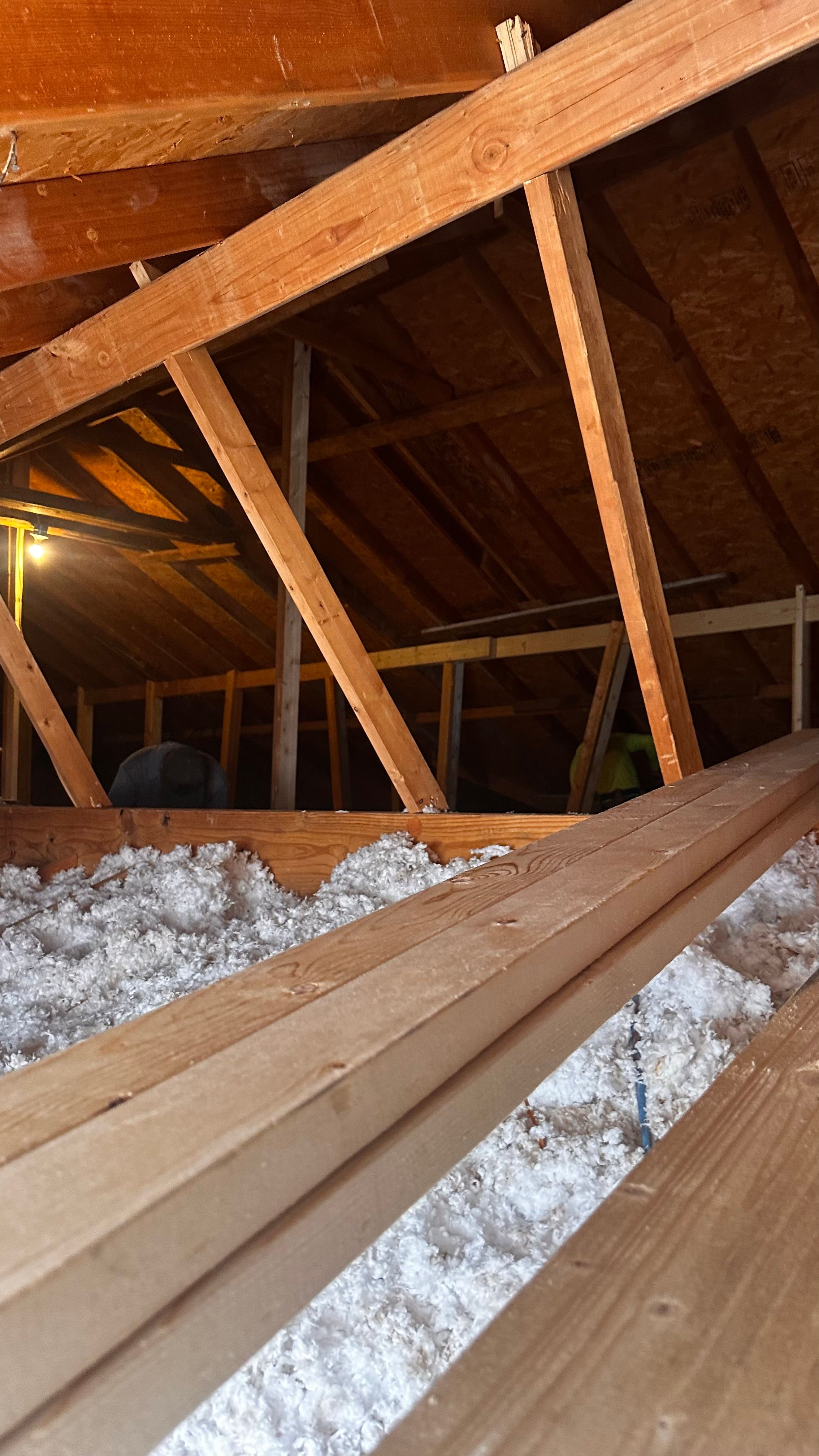  for Piney Woods Renovations in Tyler , TX